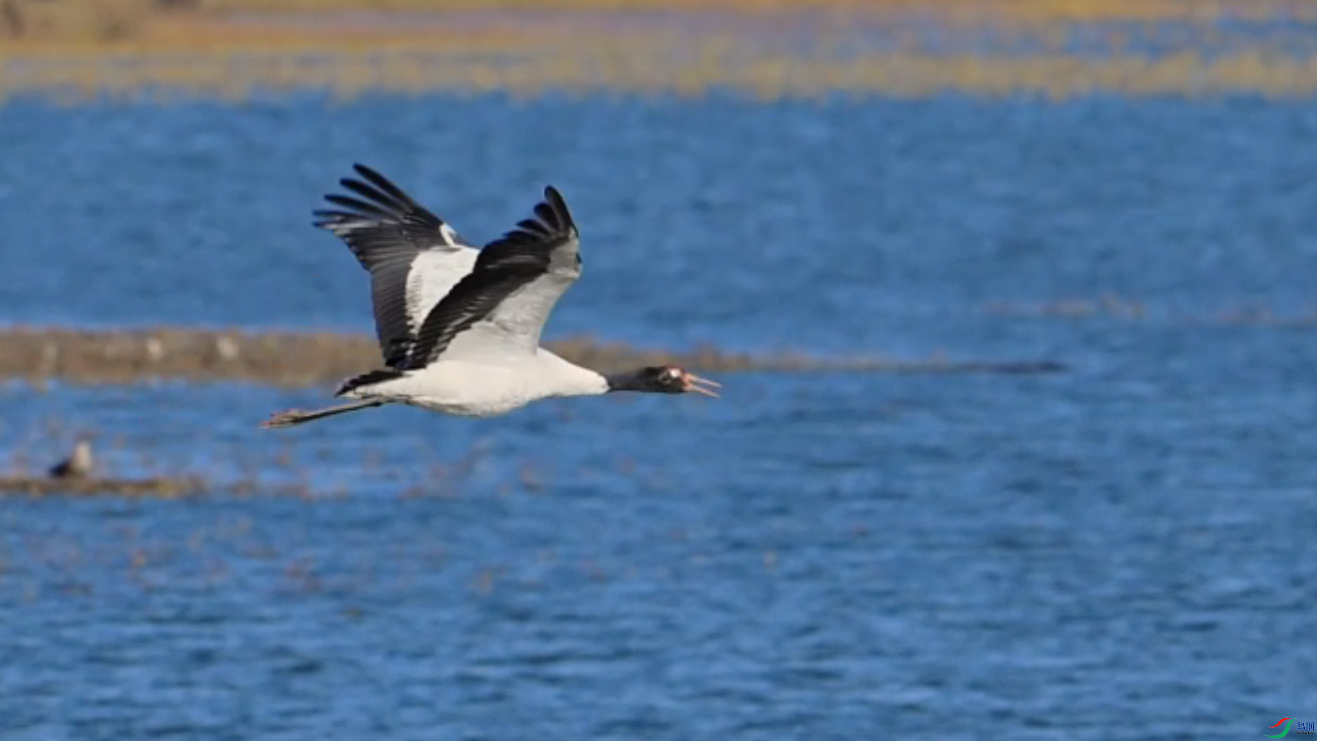 12��4�� (12).png