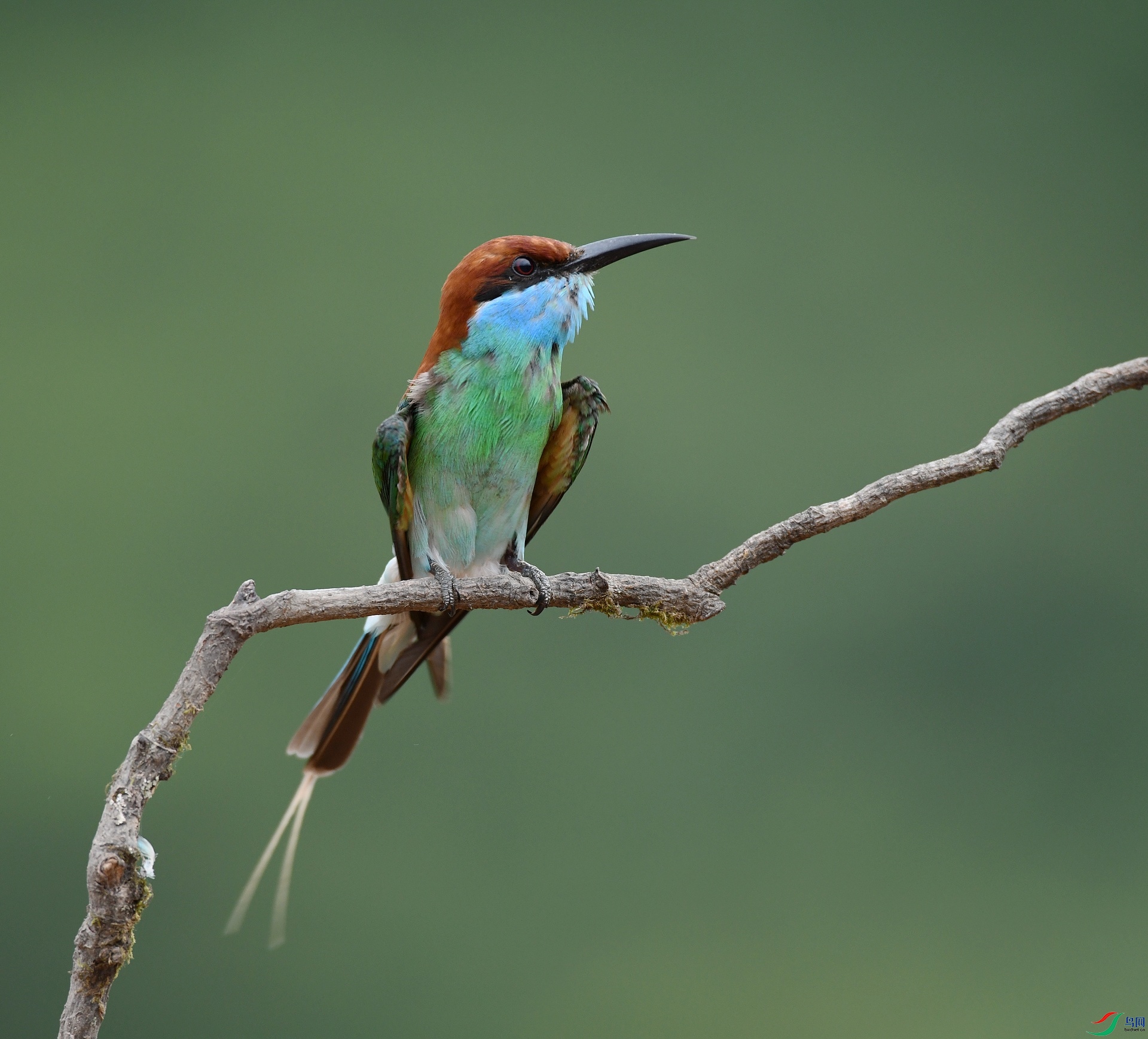 DSC_1058.jpg