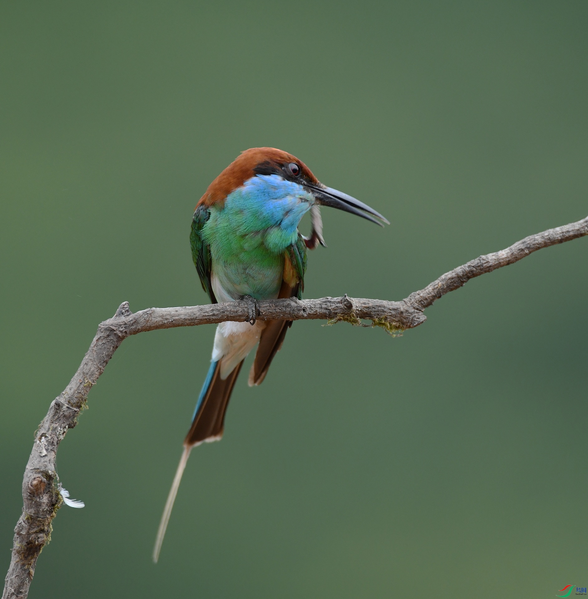 DSC_1046.jpg