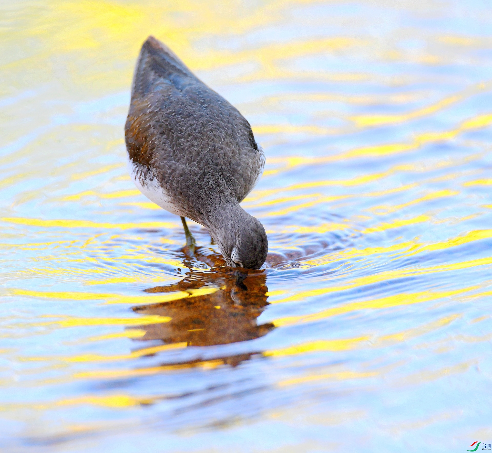 DSC_8939.jpg