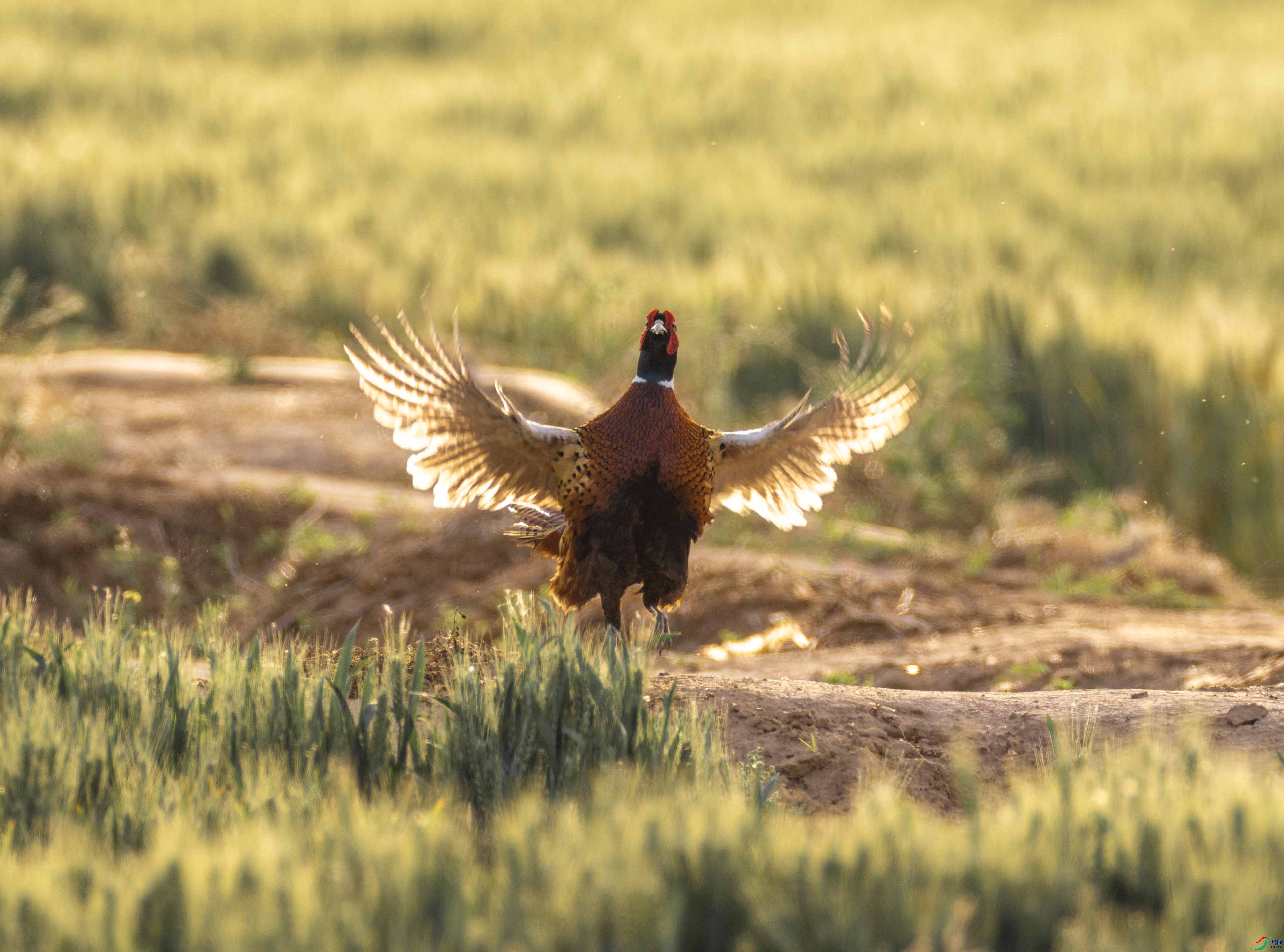 1-xt4L2A6675 ����.jpg