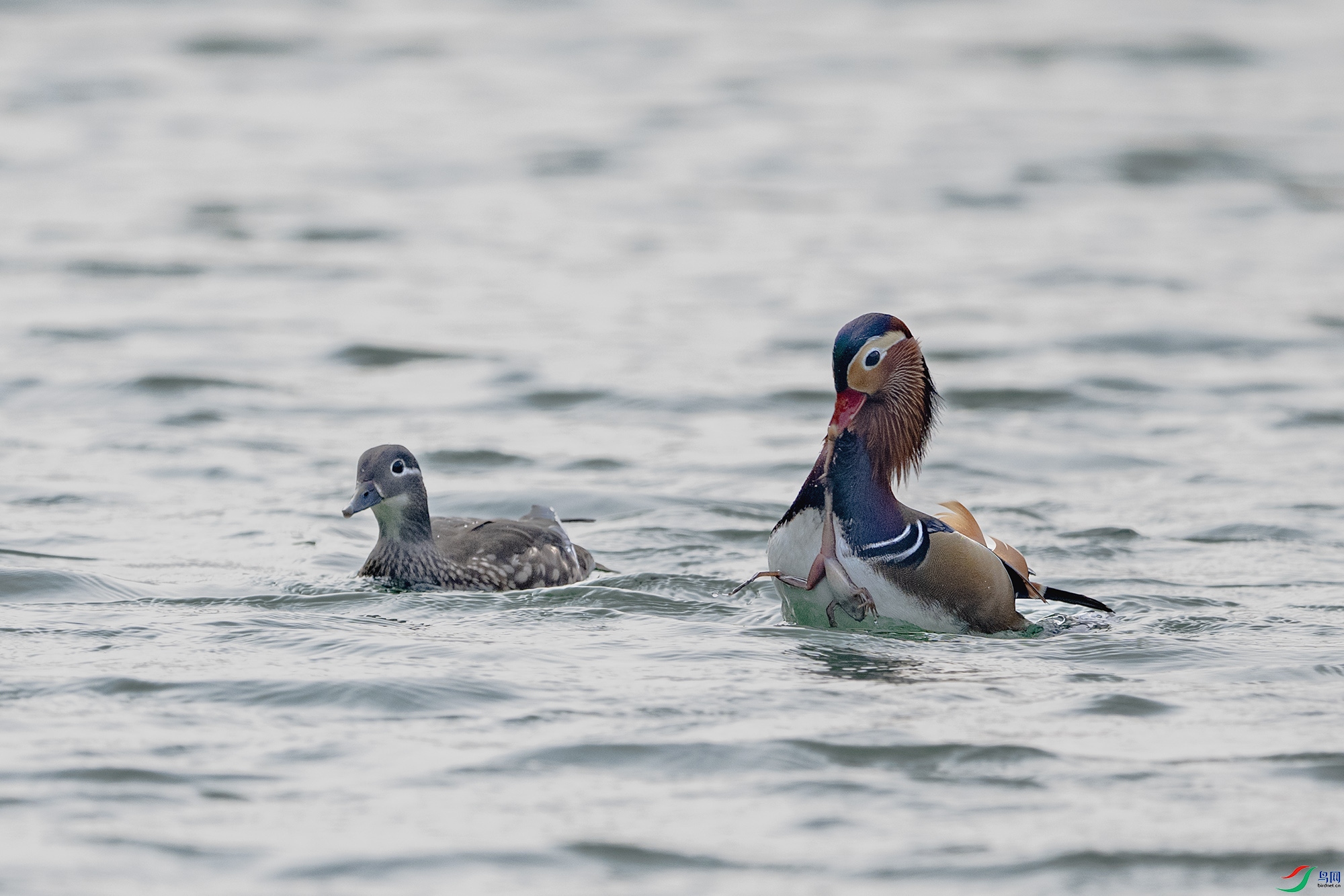 DSC_3582.jpg