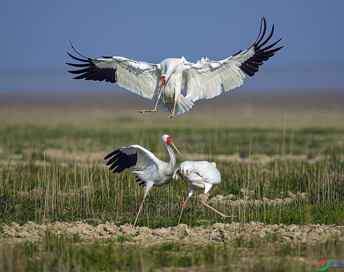 �׺�.jpg