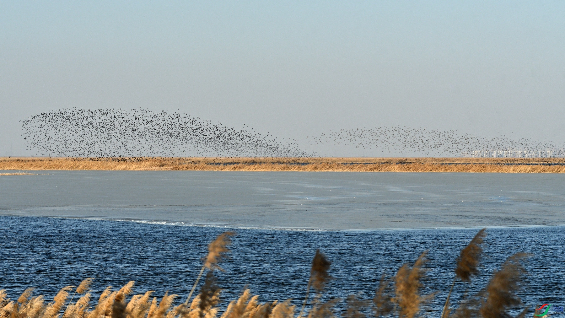DSC_2551.JPG