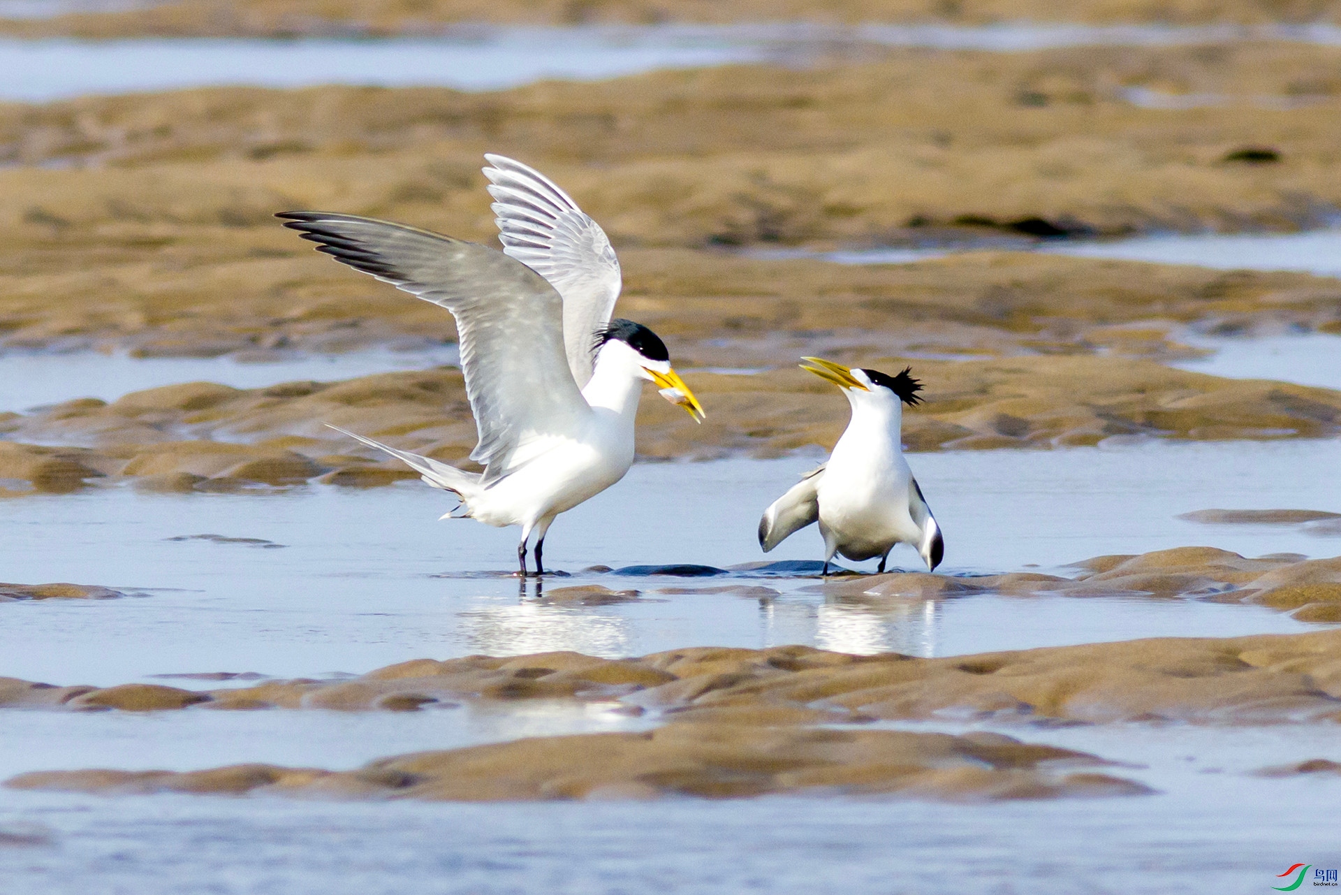 2H6A5217 ����_����.jpg