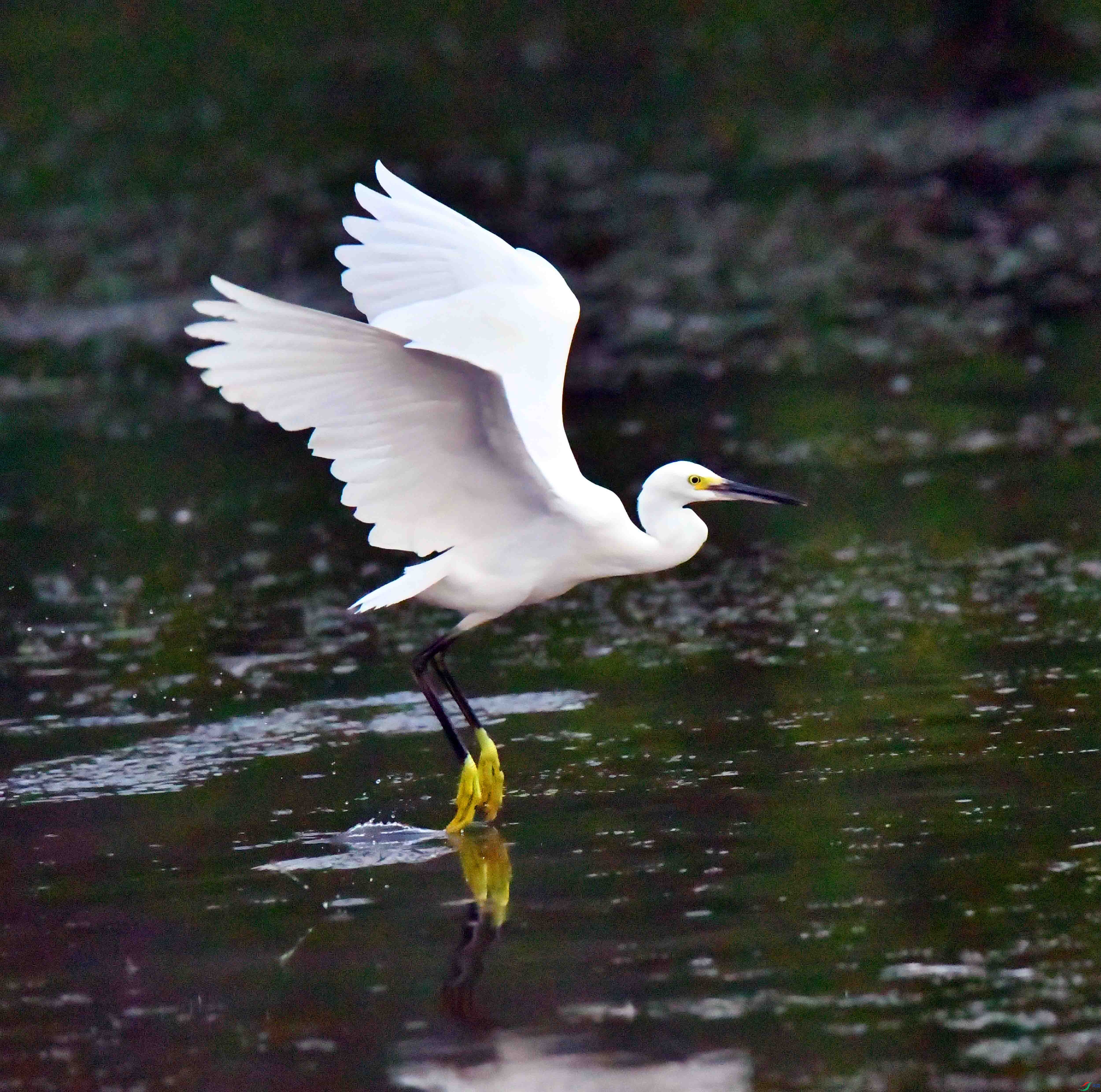 DSC_0992.JPG