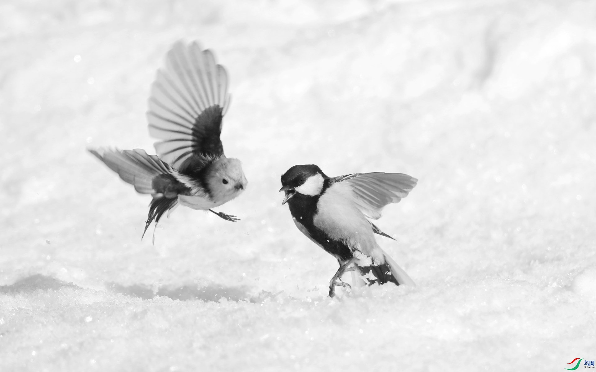 0G1A8872 ����.jpg