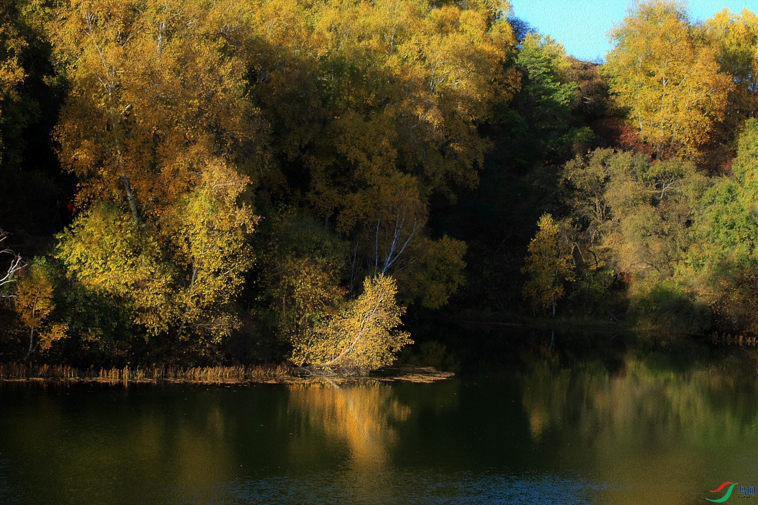 A68O0114 ����.jpg