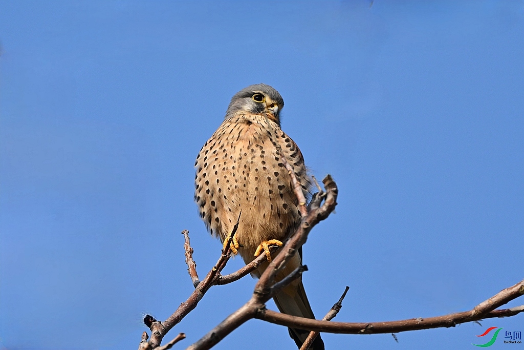 DSC_0713.JPG