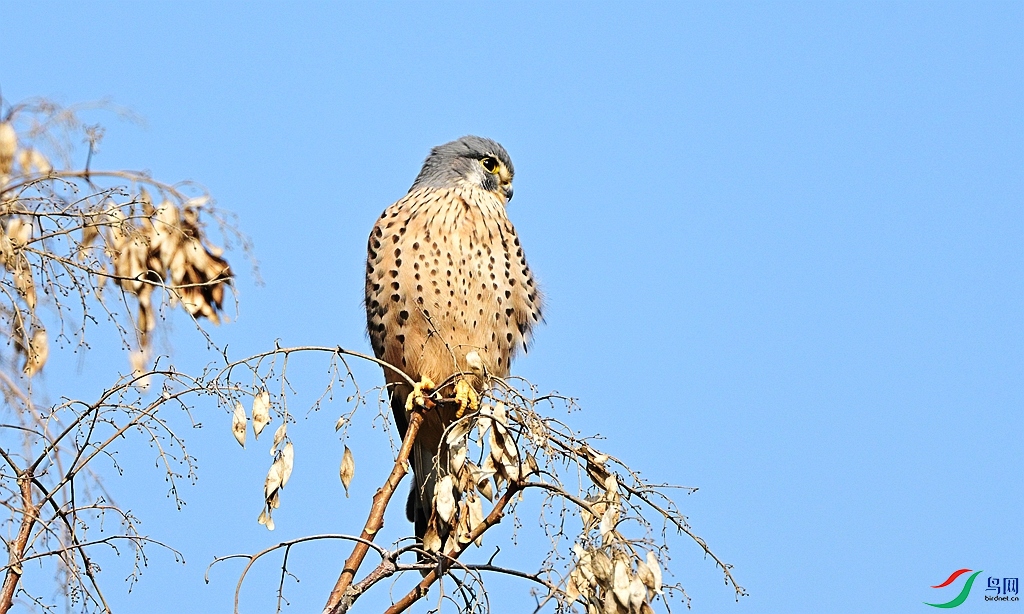 DSC_1393.JPG
