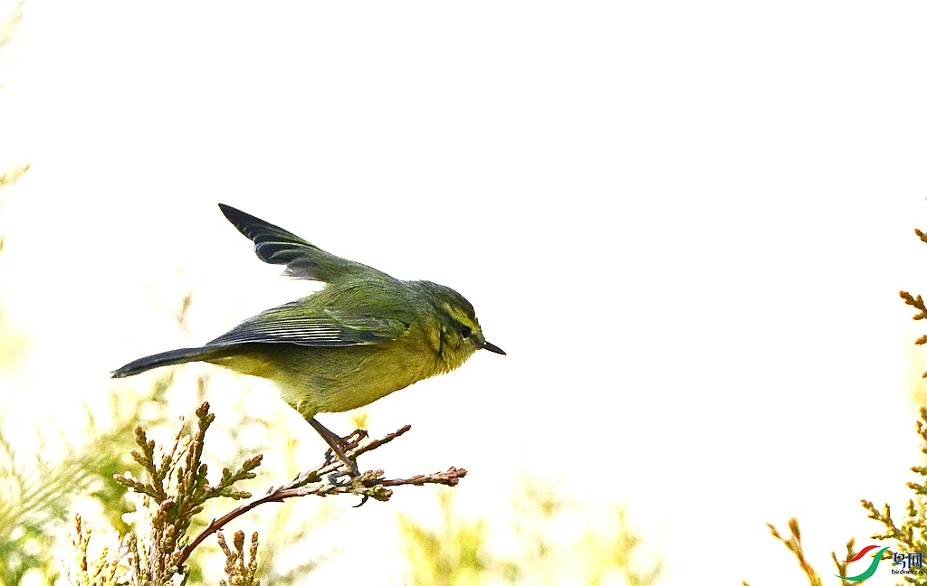 DSC_9939.JPG