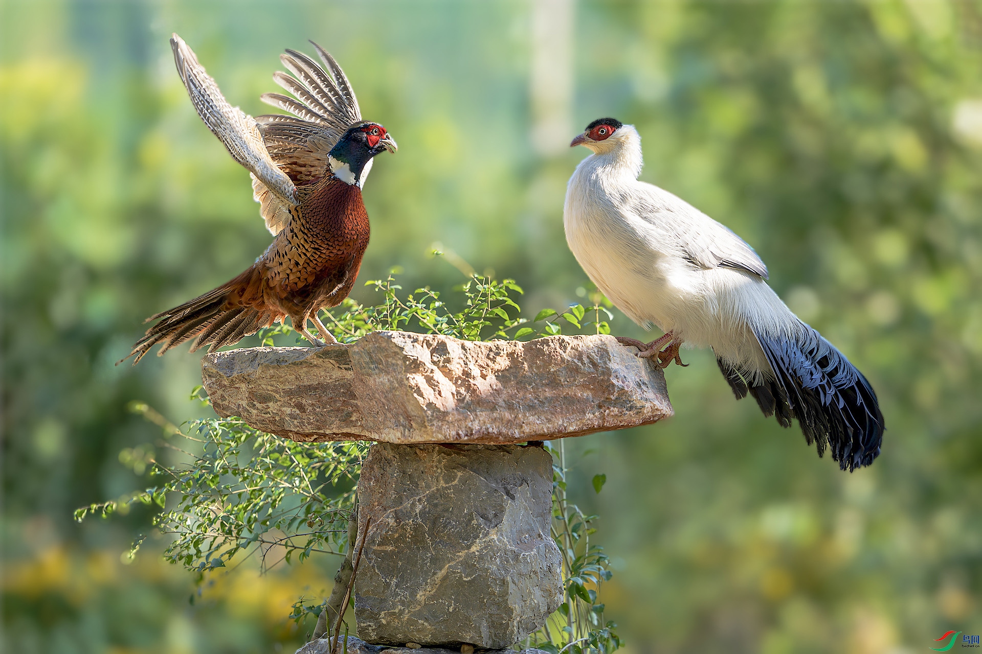 _DSC0184 ���� 2.jpg