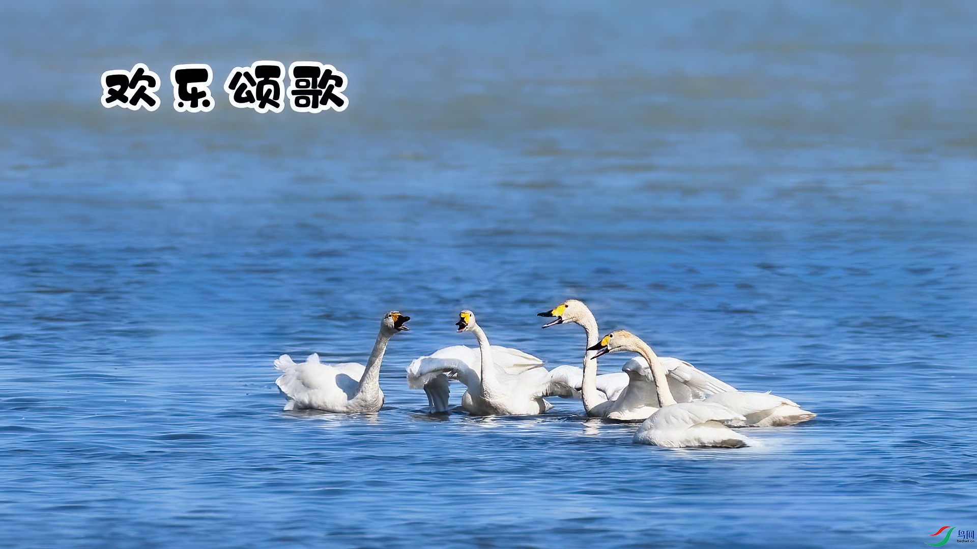 �����̸�-���� ����.jpg