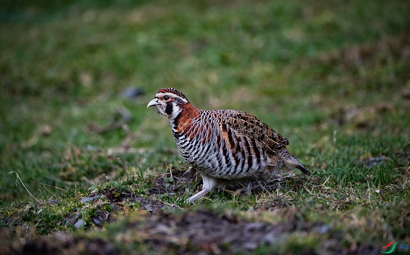 _DSC4265 ����.jpg