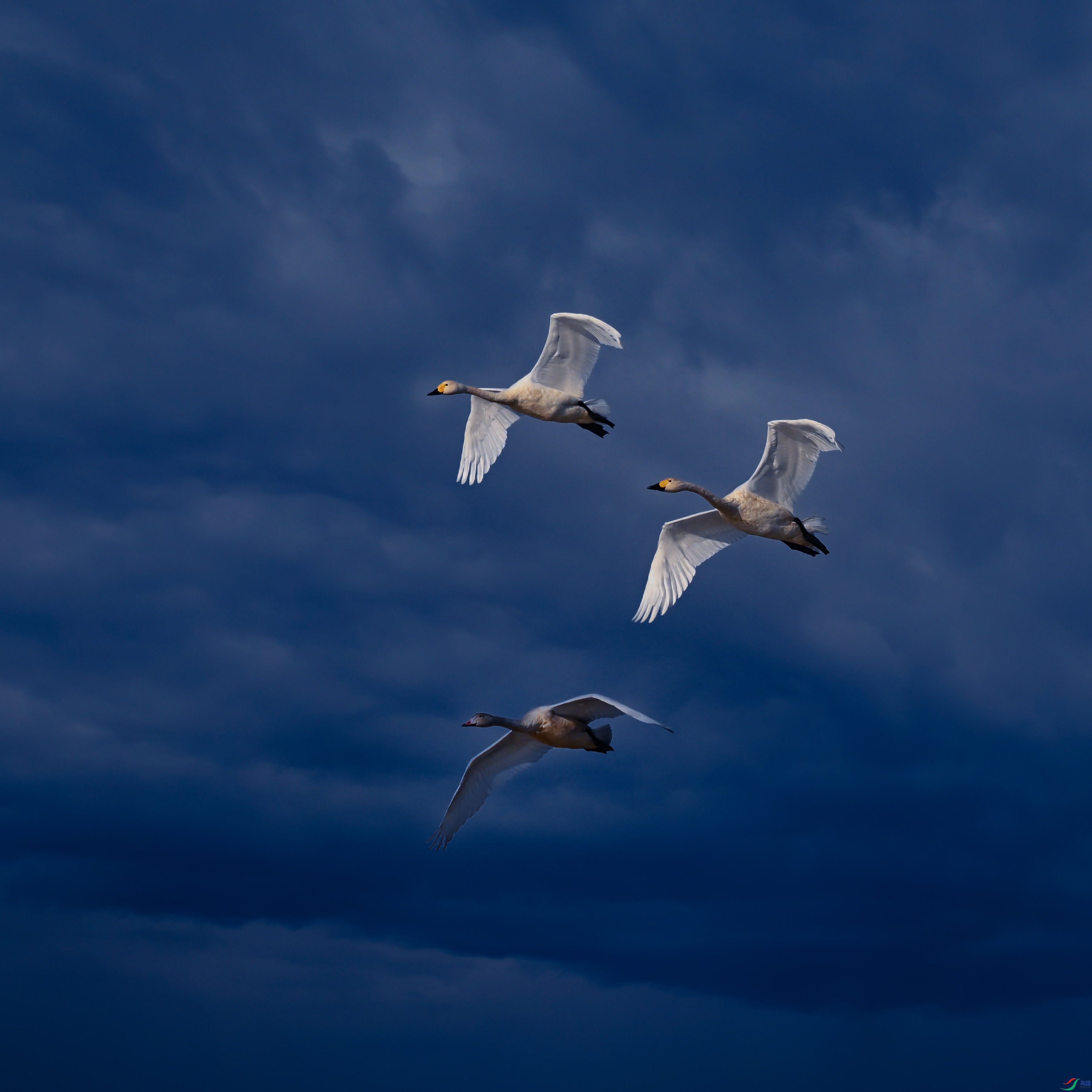 DSC_1558.jpg
