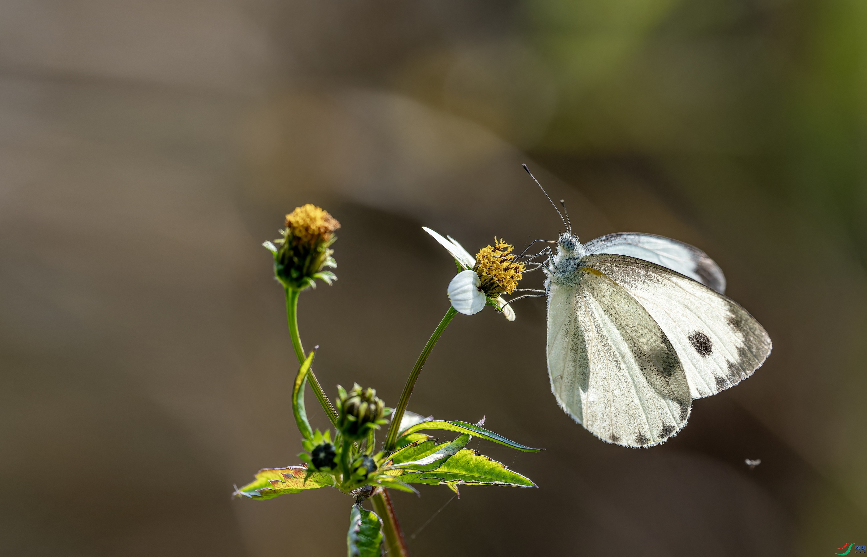 �˷۵� (1)-01.jpg
