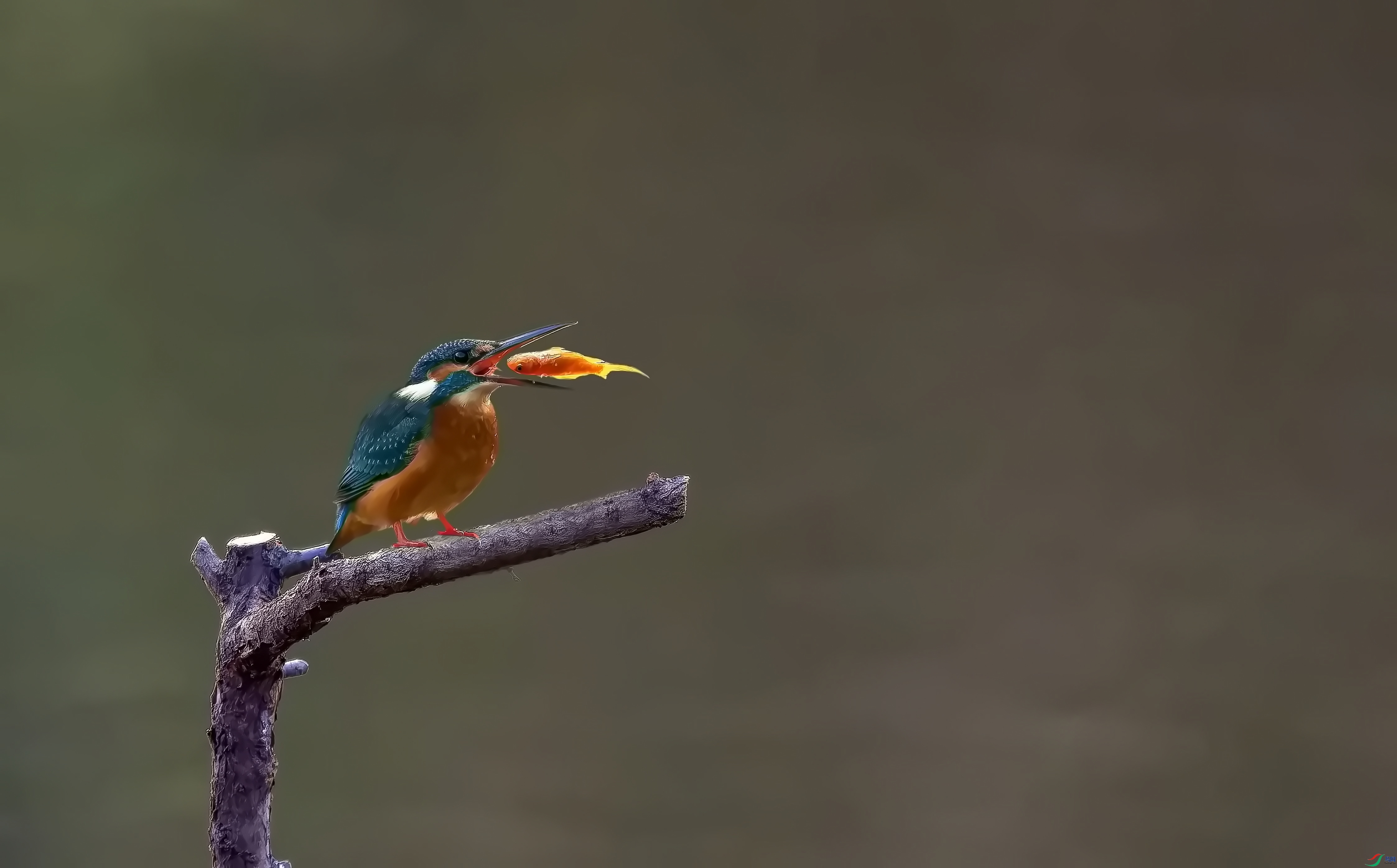 ��ͨ����2 (18)-01.jpg