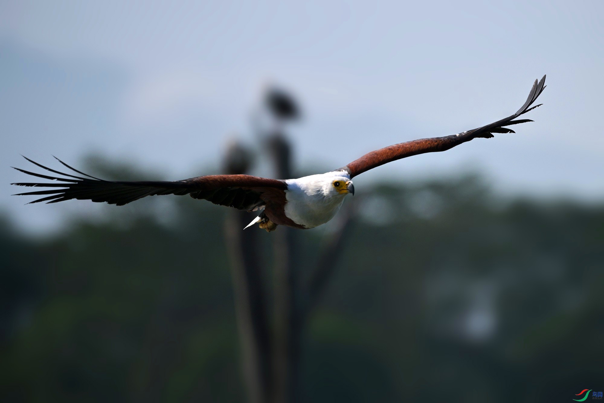 DSC_8805_.JPG
