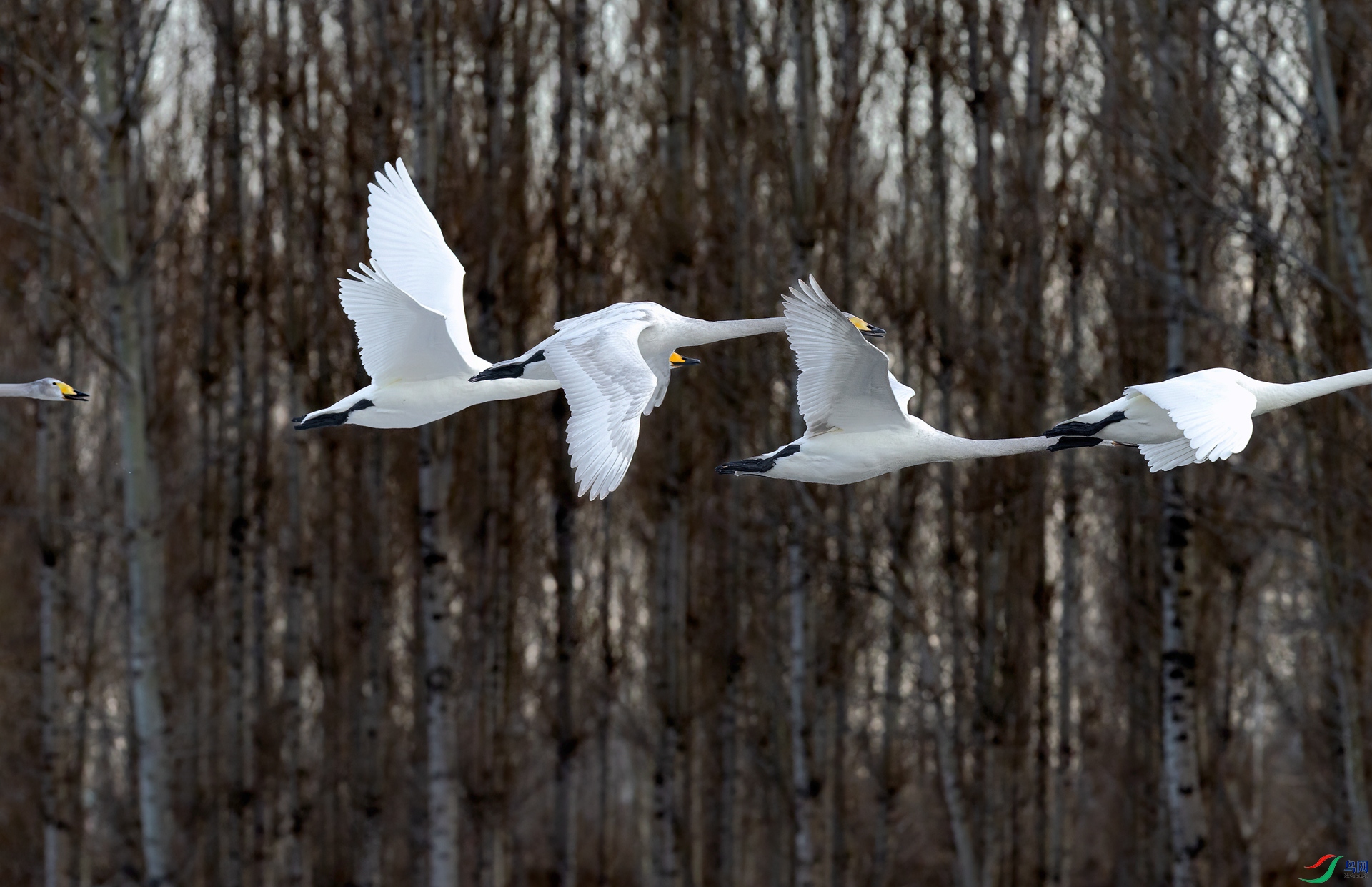 _05A0049 _����.jpg