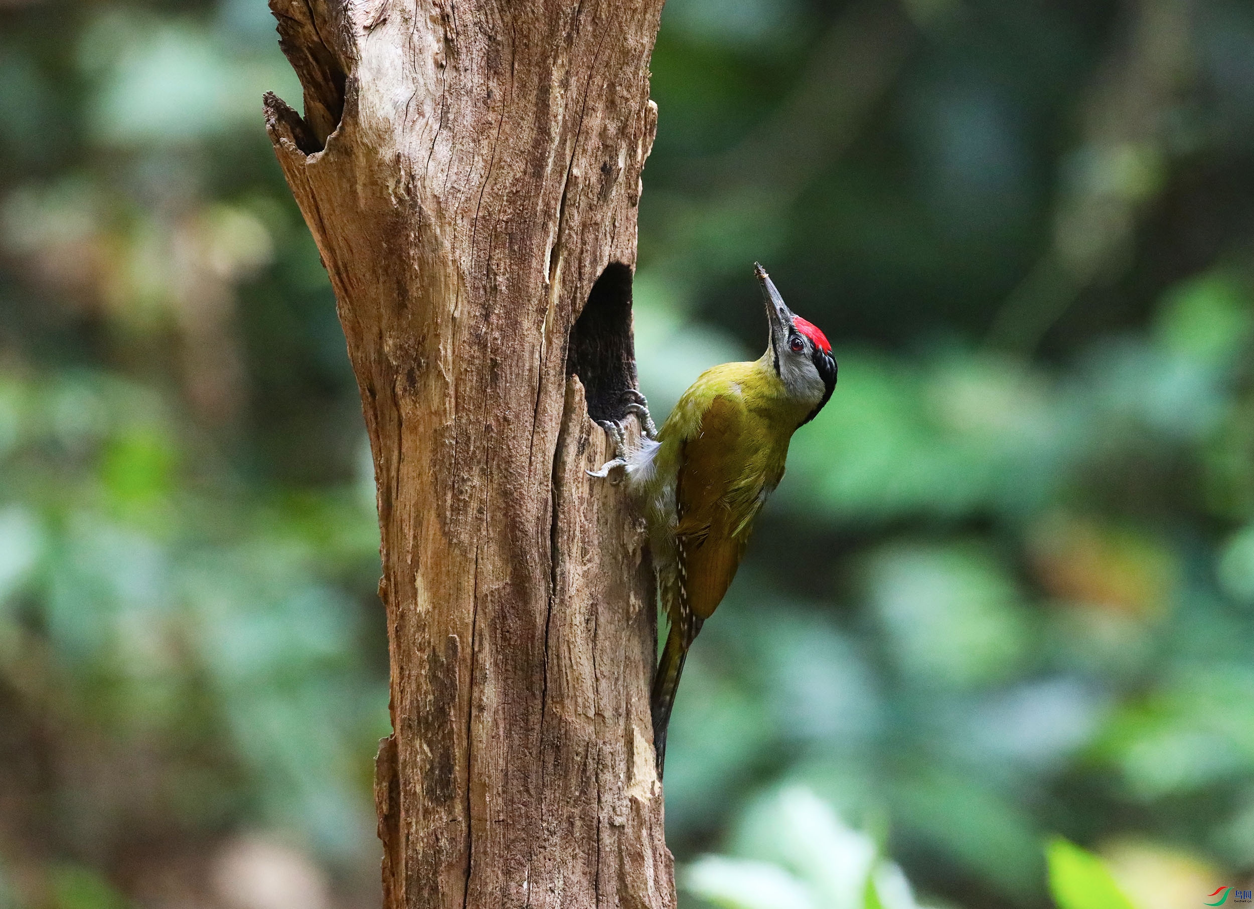 503A1988.jpg