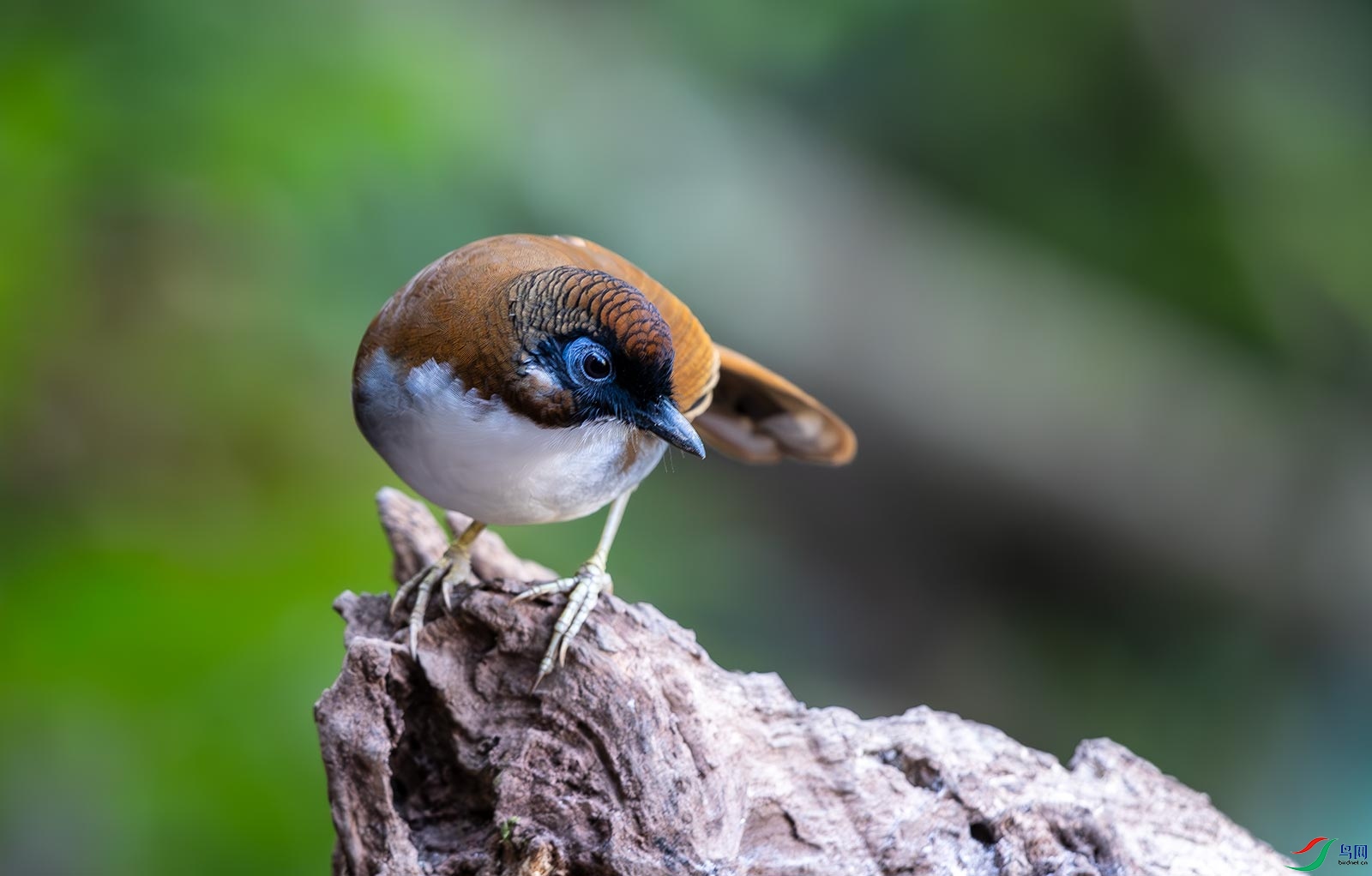 DSC_4240.jpg