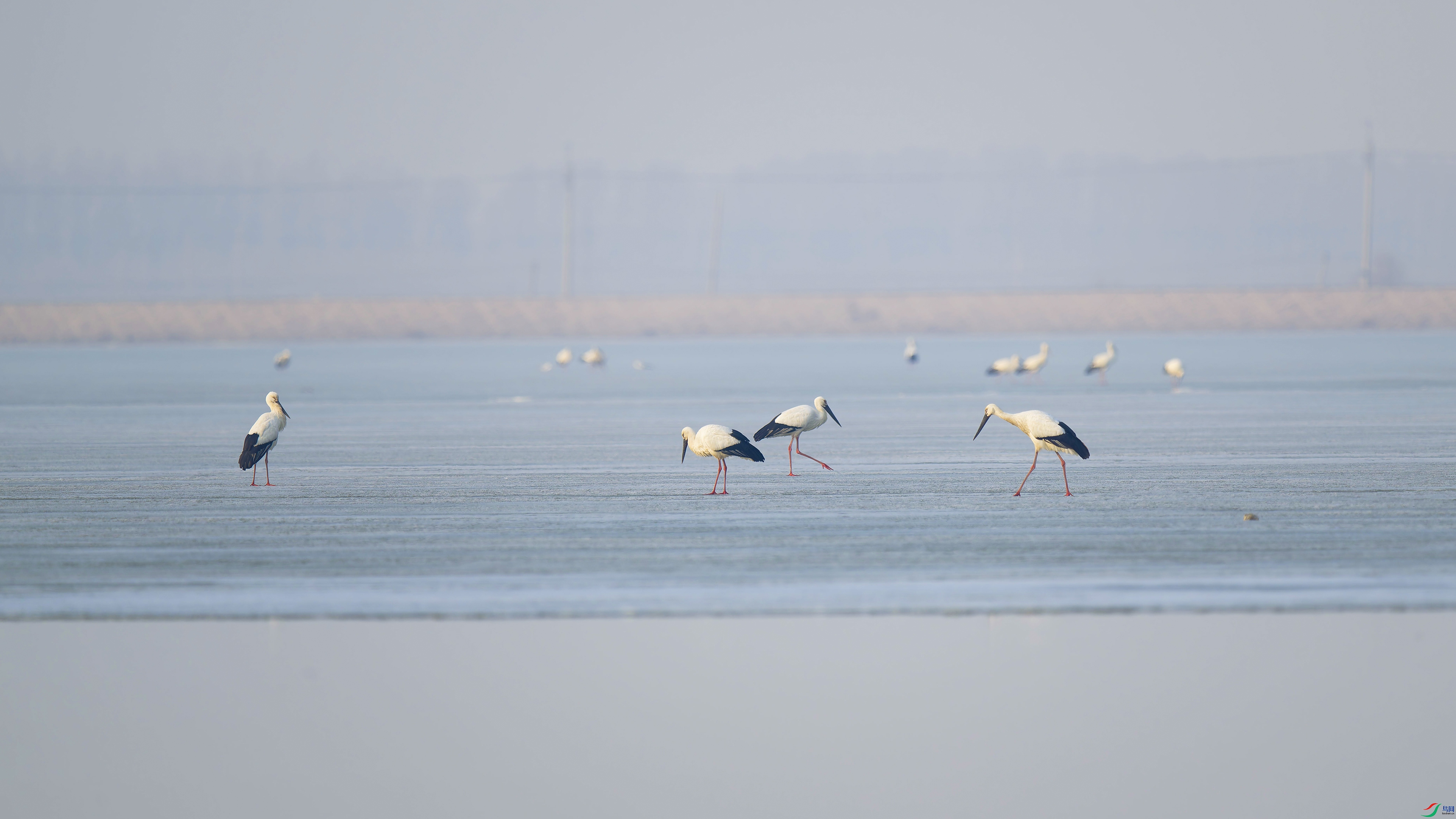 20250308-_DSC4000.jpg