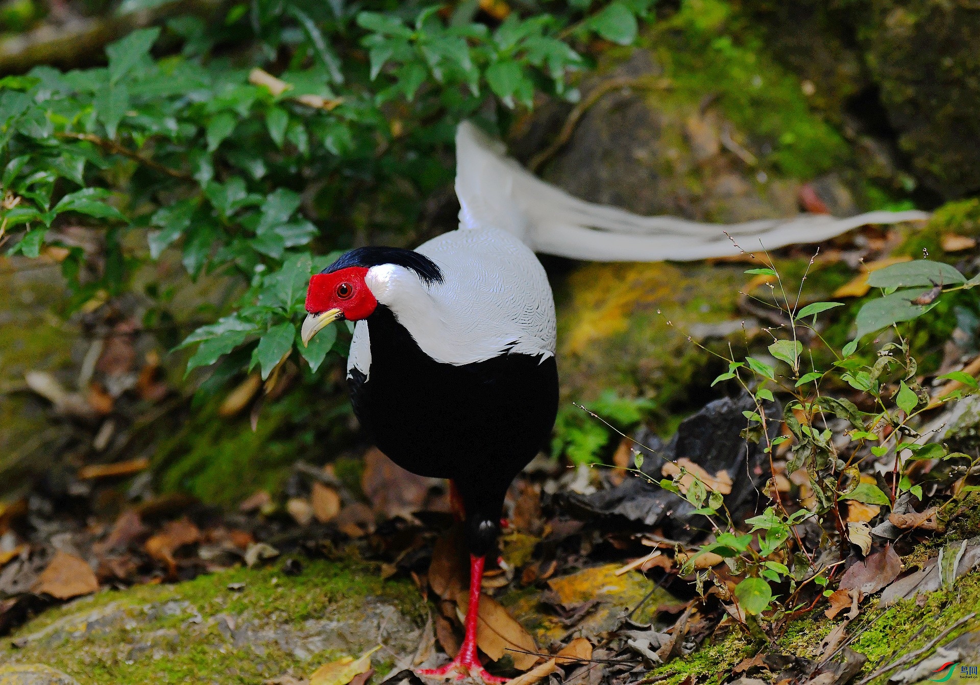 DSC_8032.jpg