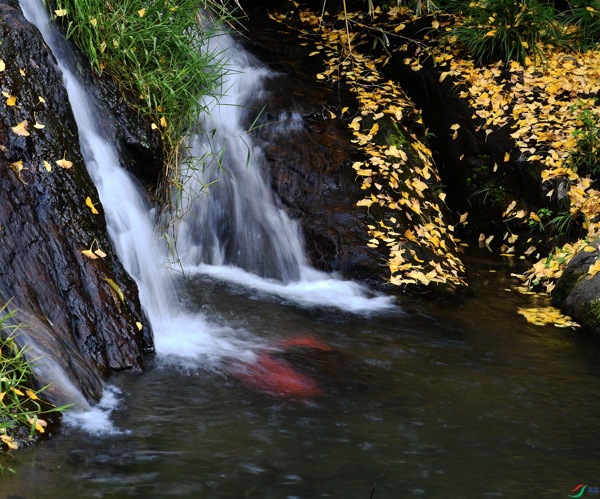 DSC_0278.jpg