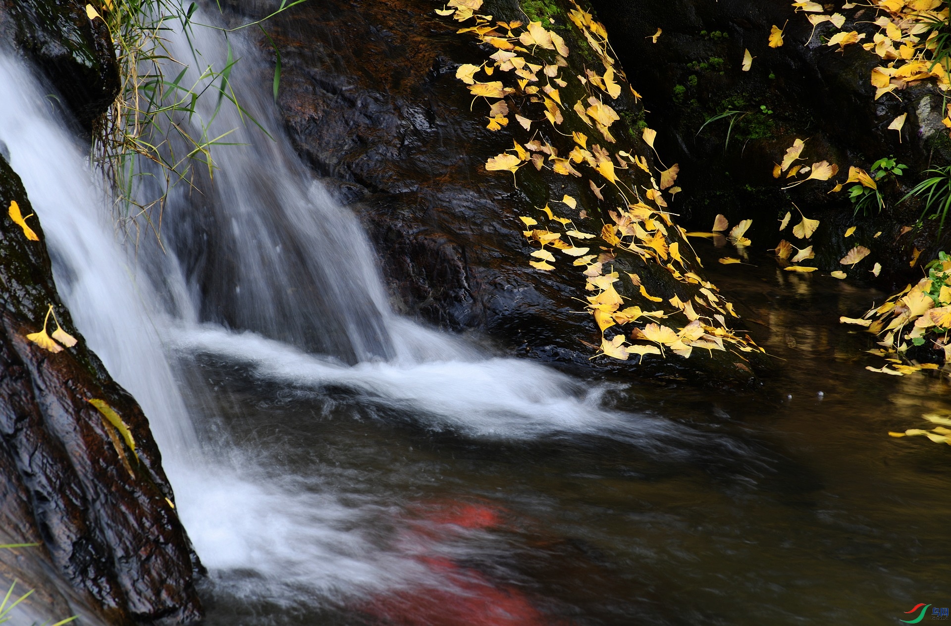 DSC_0329.jpg