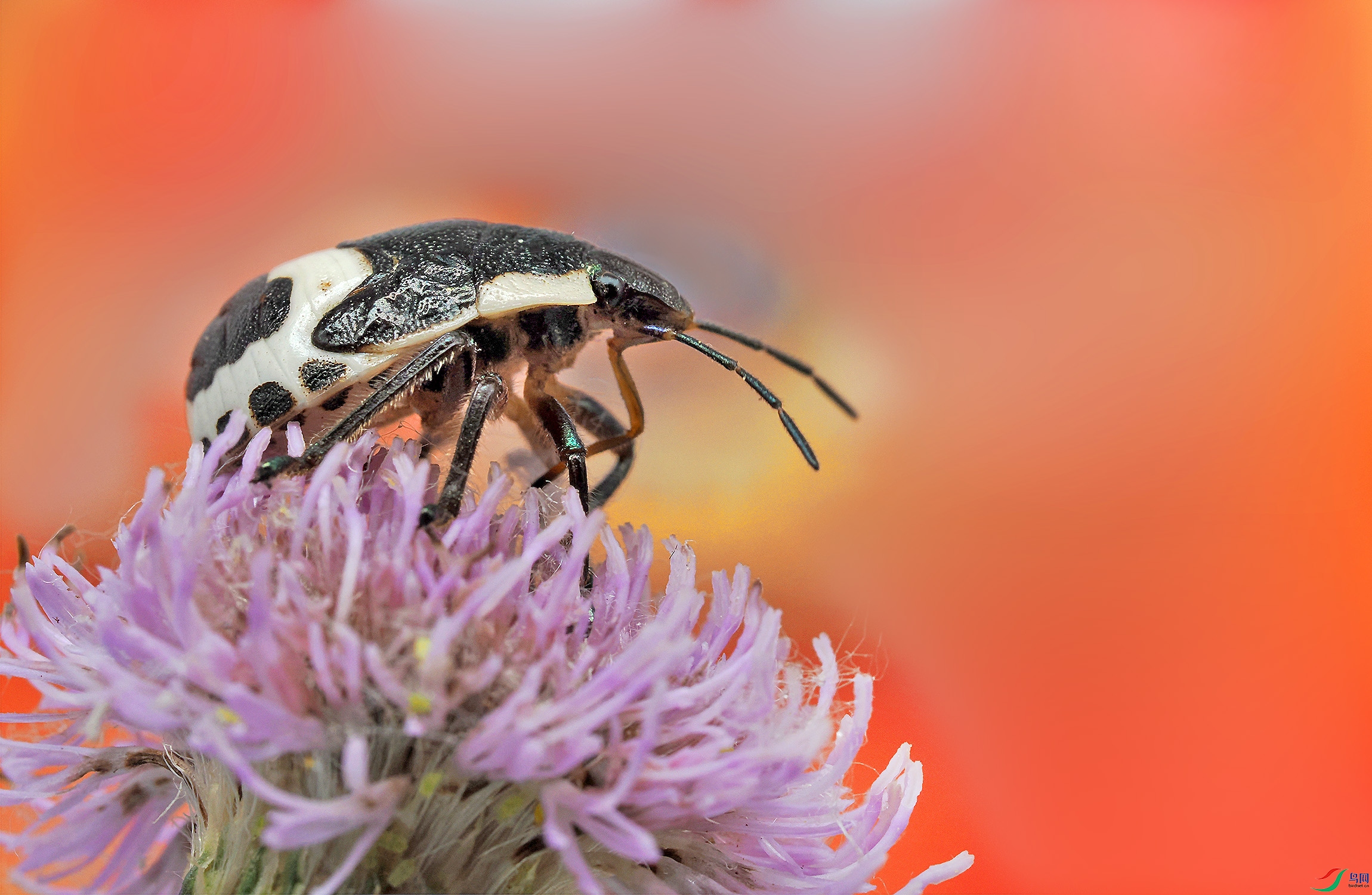 P5010193 ����.jpg