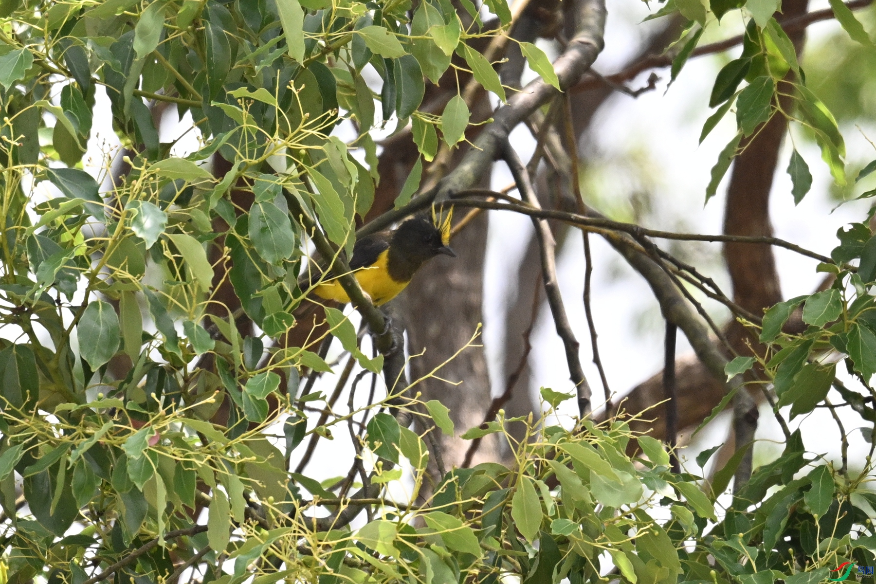 DSC_9631.JPG