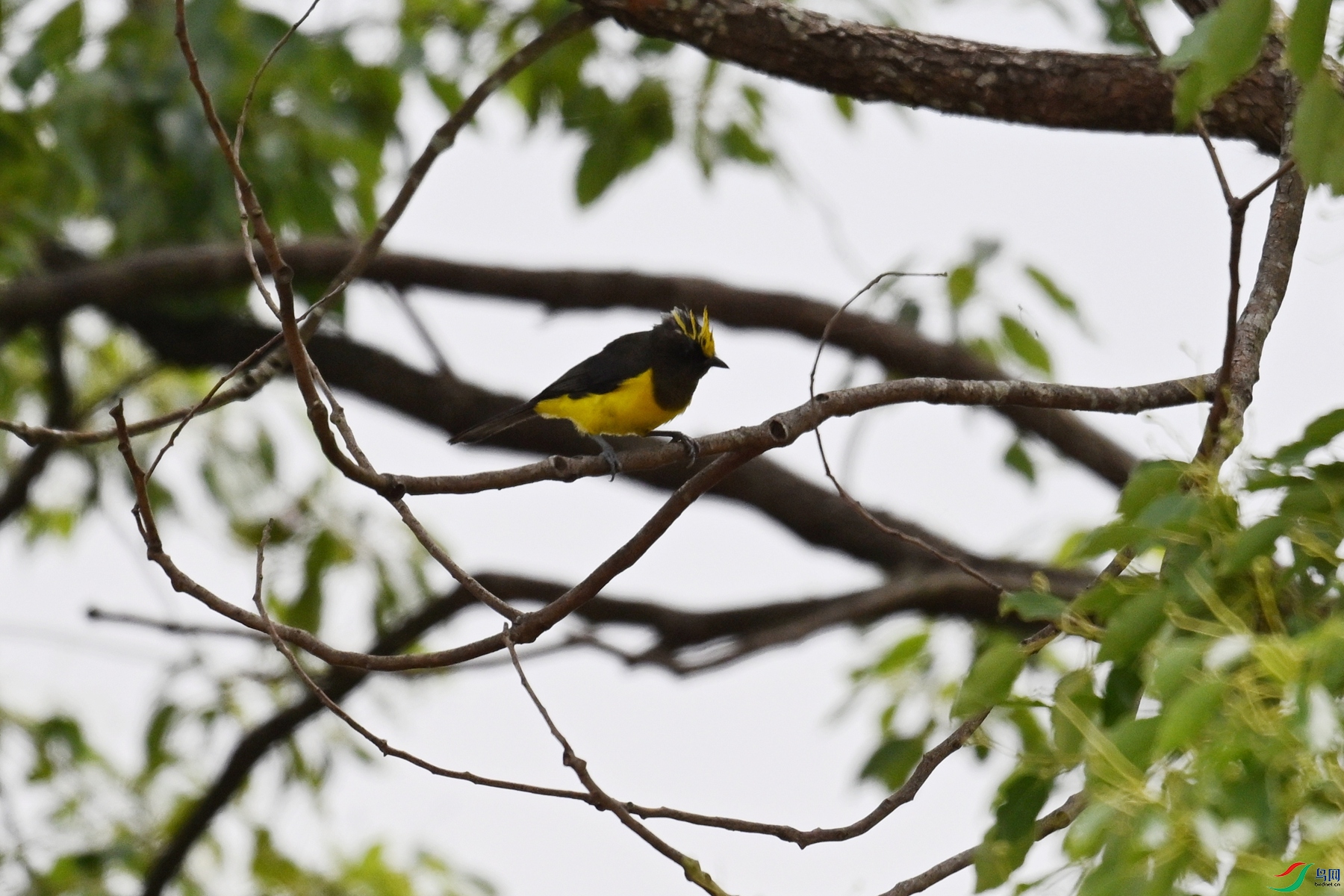 DSC_9635.JPG