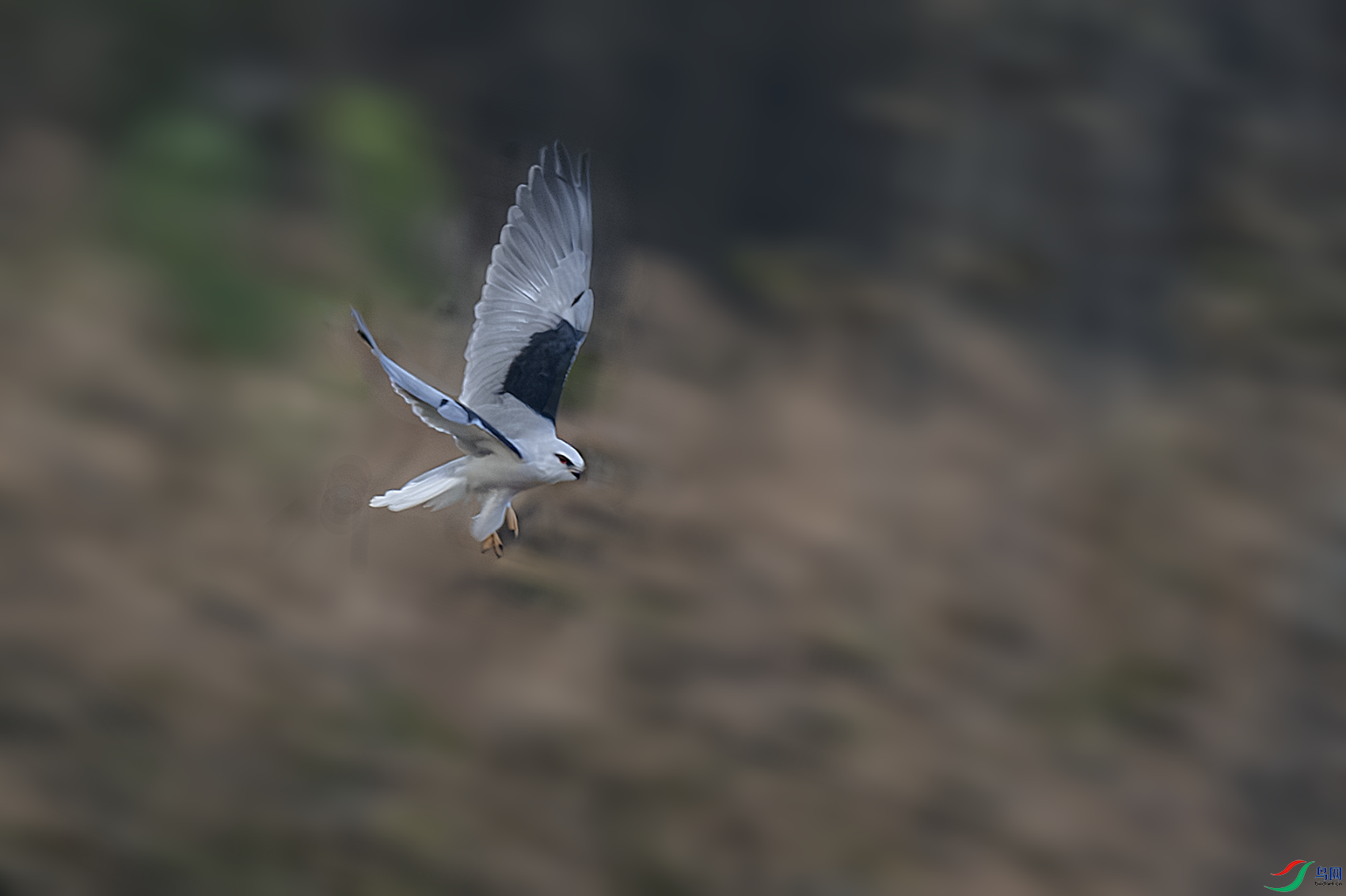 _DSC0418-����ǿ-NR.PNG