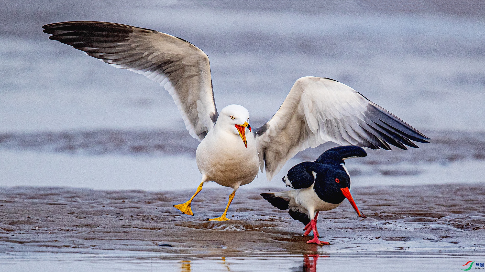 _90I3185 ����.jpg