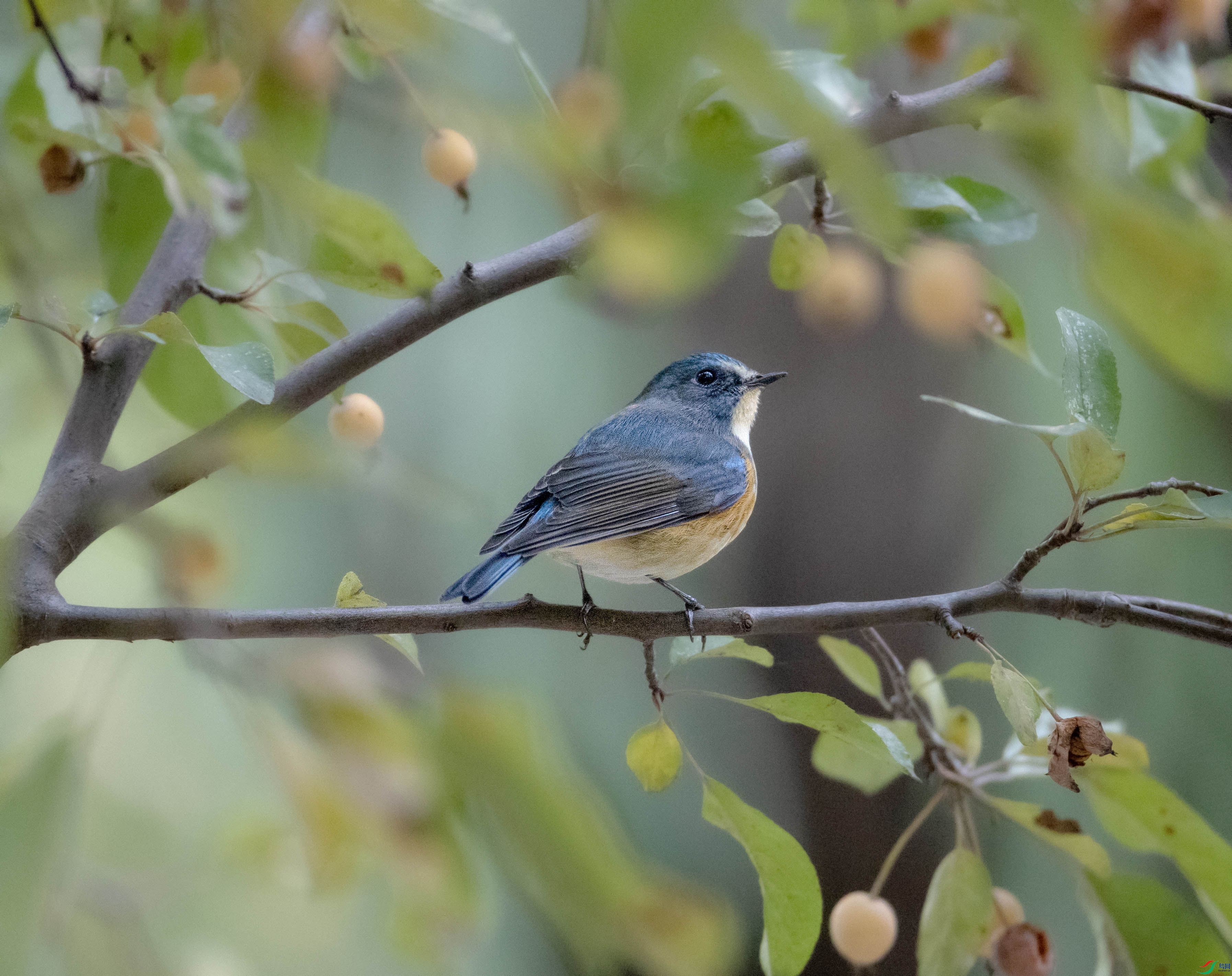 A79I6274 ����.jpg