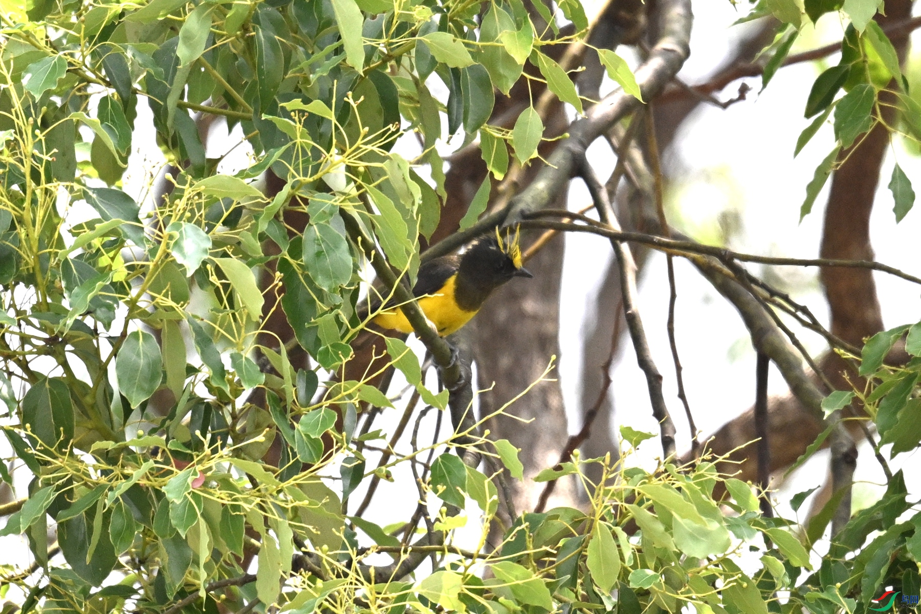 DSC_9633.JPG
