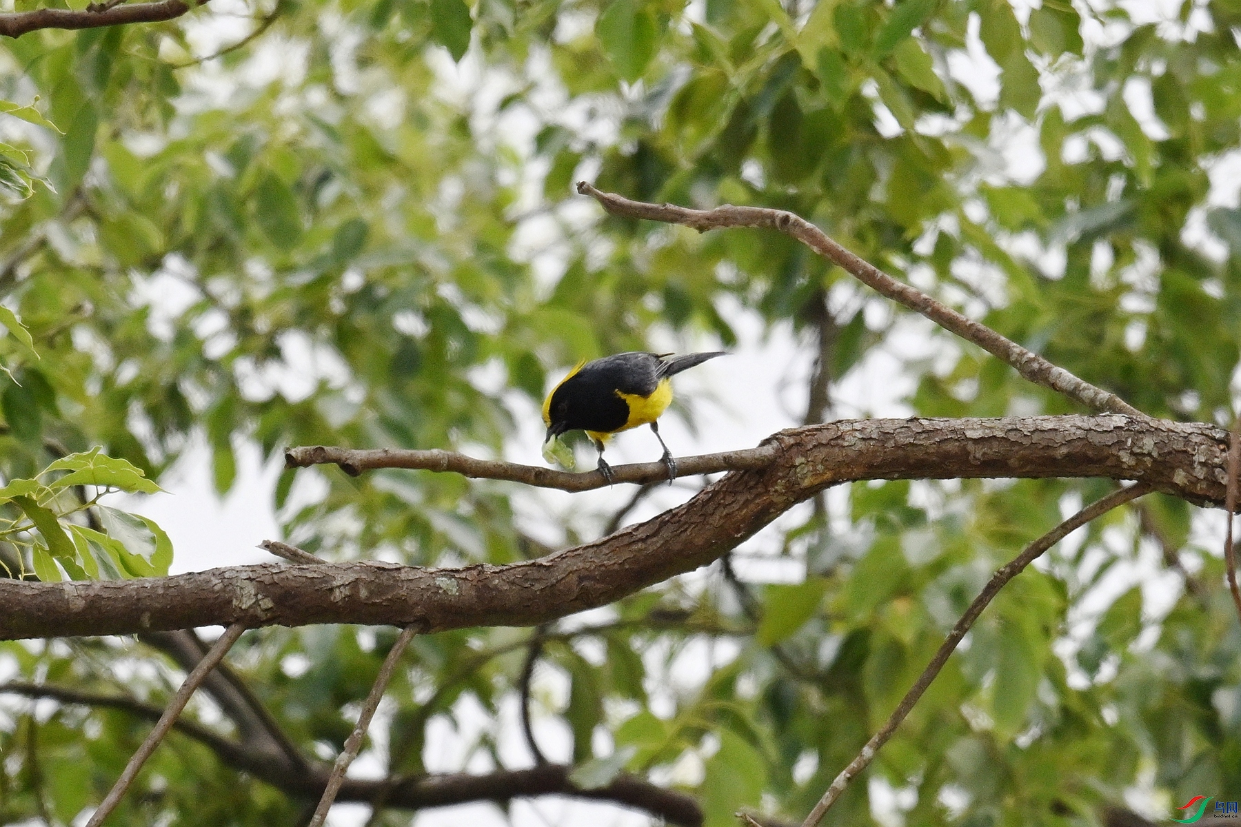 DSC_9639.JPG