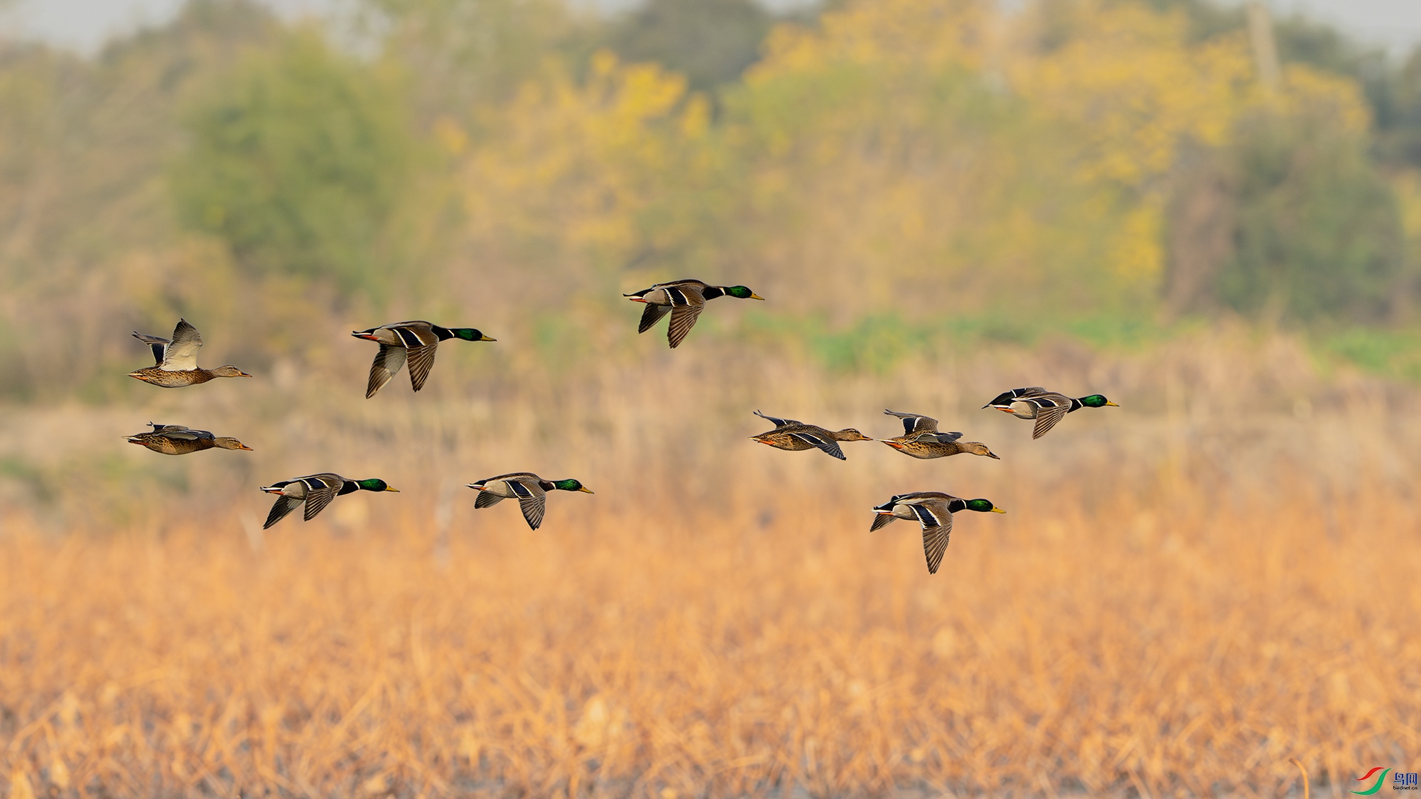 _DSC2417 ����С.jpg