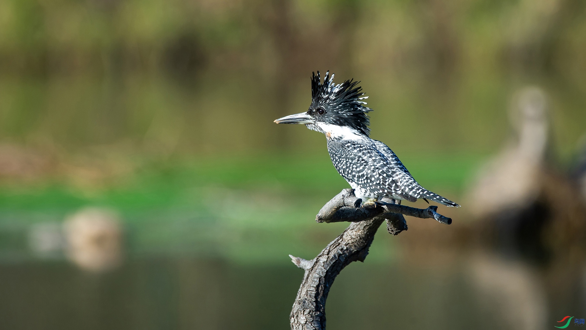 _DSC4258-20211113�ü�.jpg