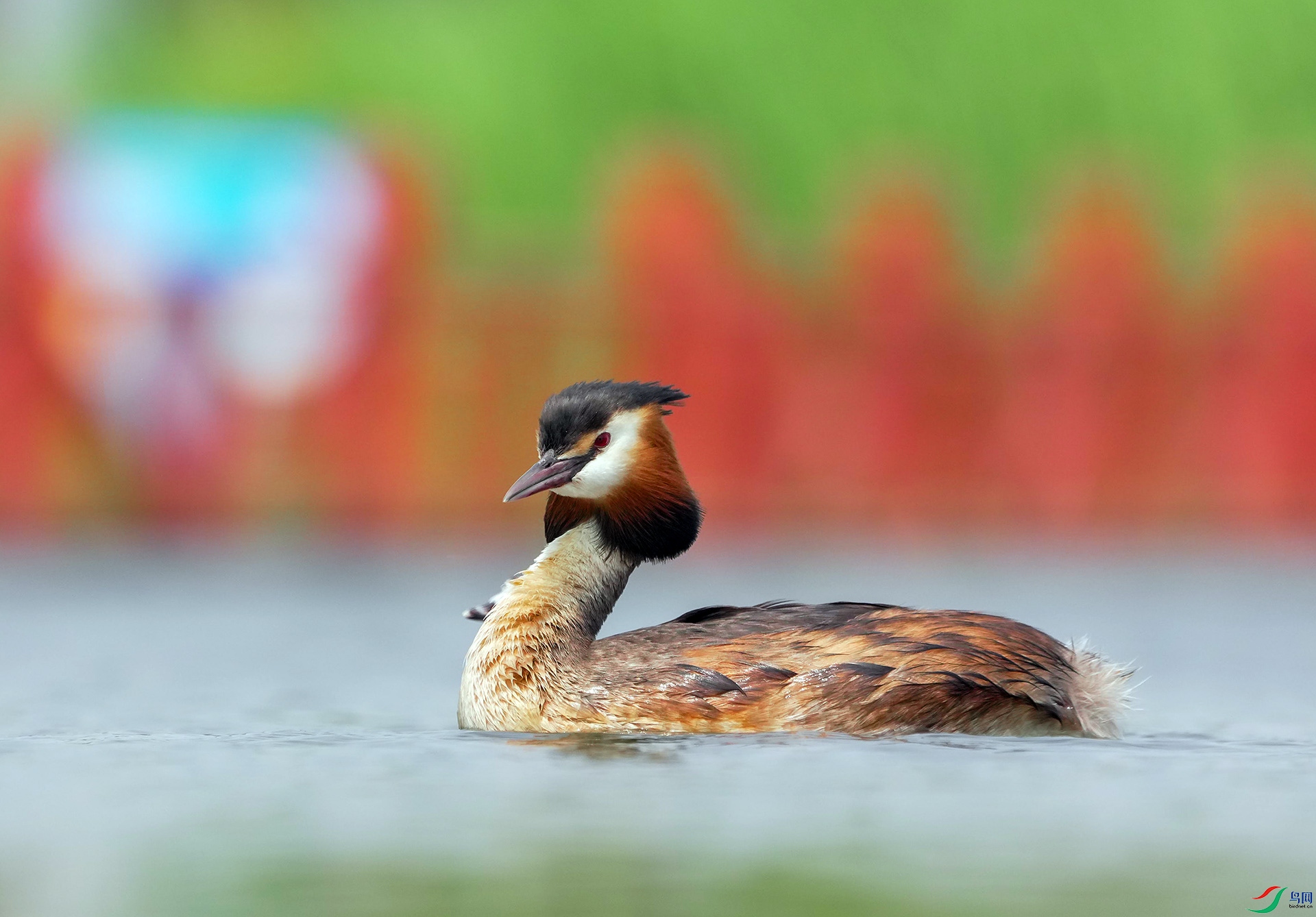 DSC04082 ����.jpg