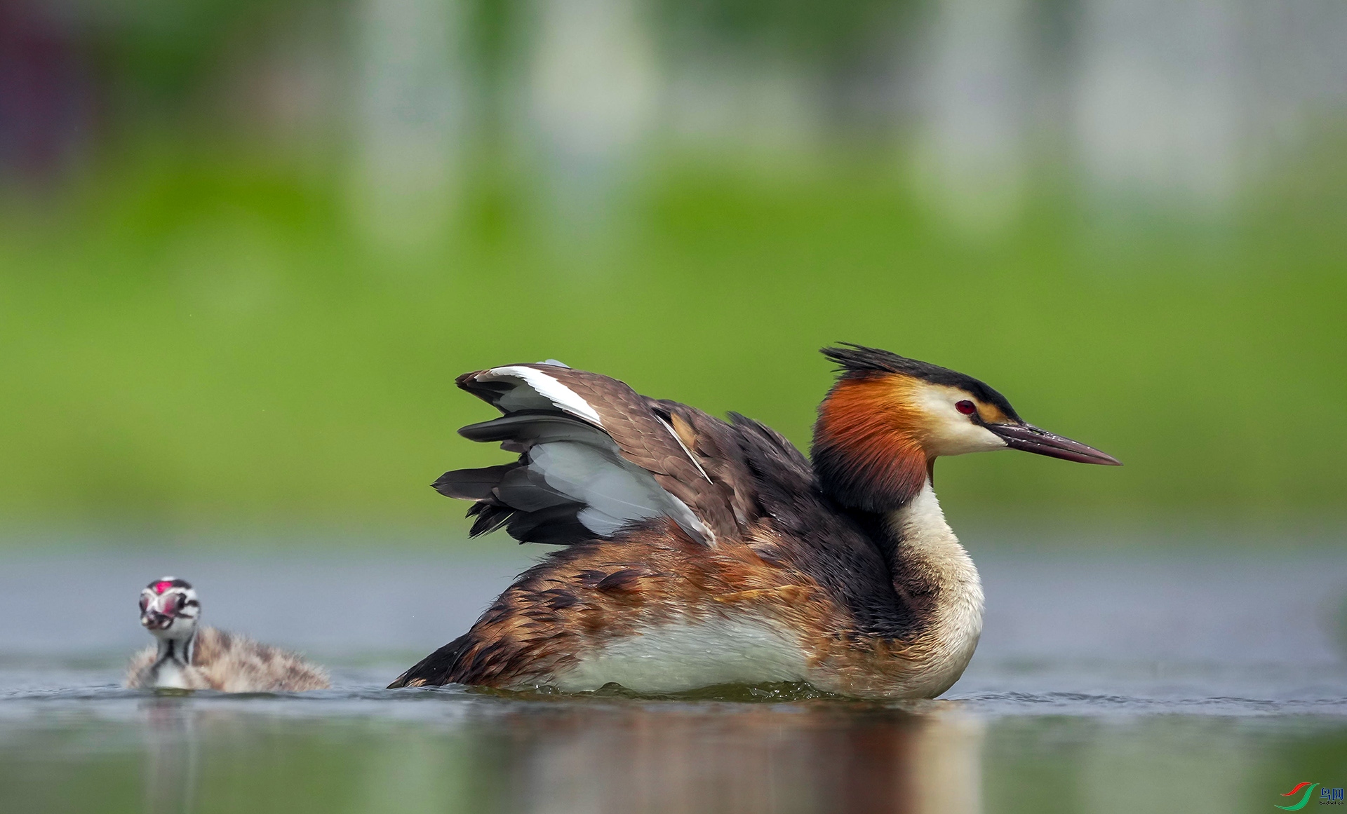 DSC04158 ����.jpg