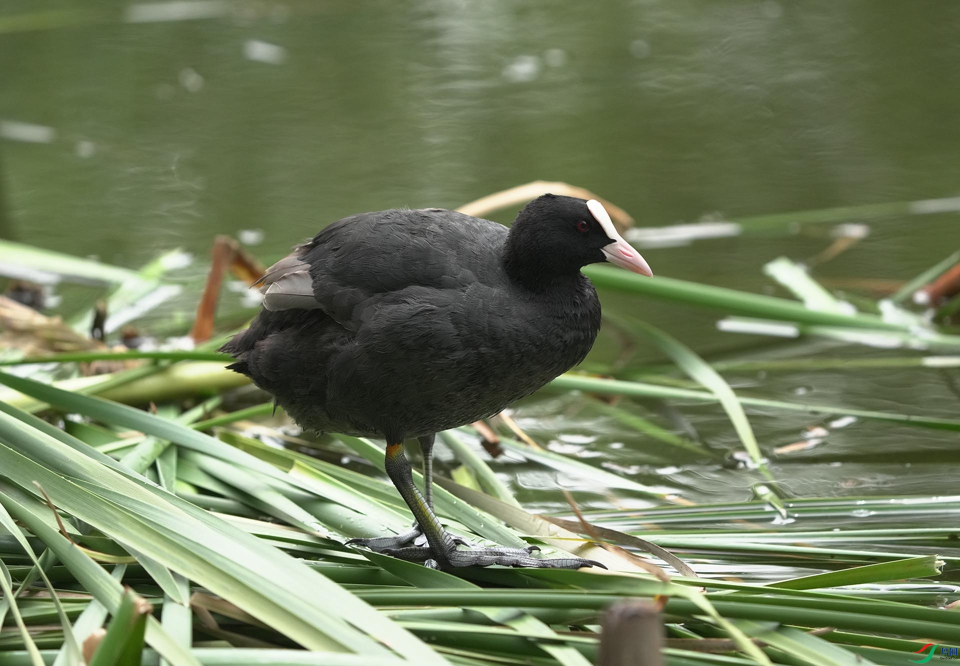 DSC00555.JPG