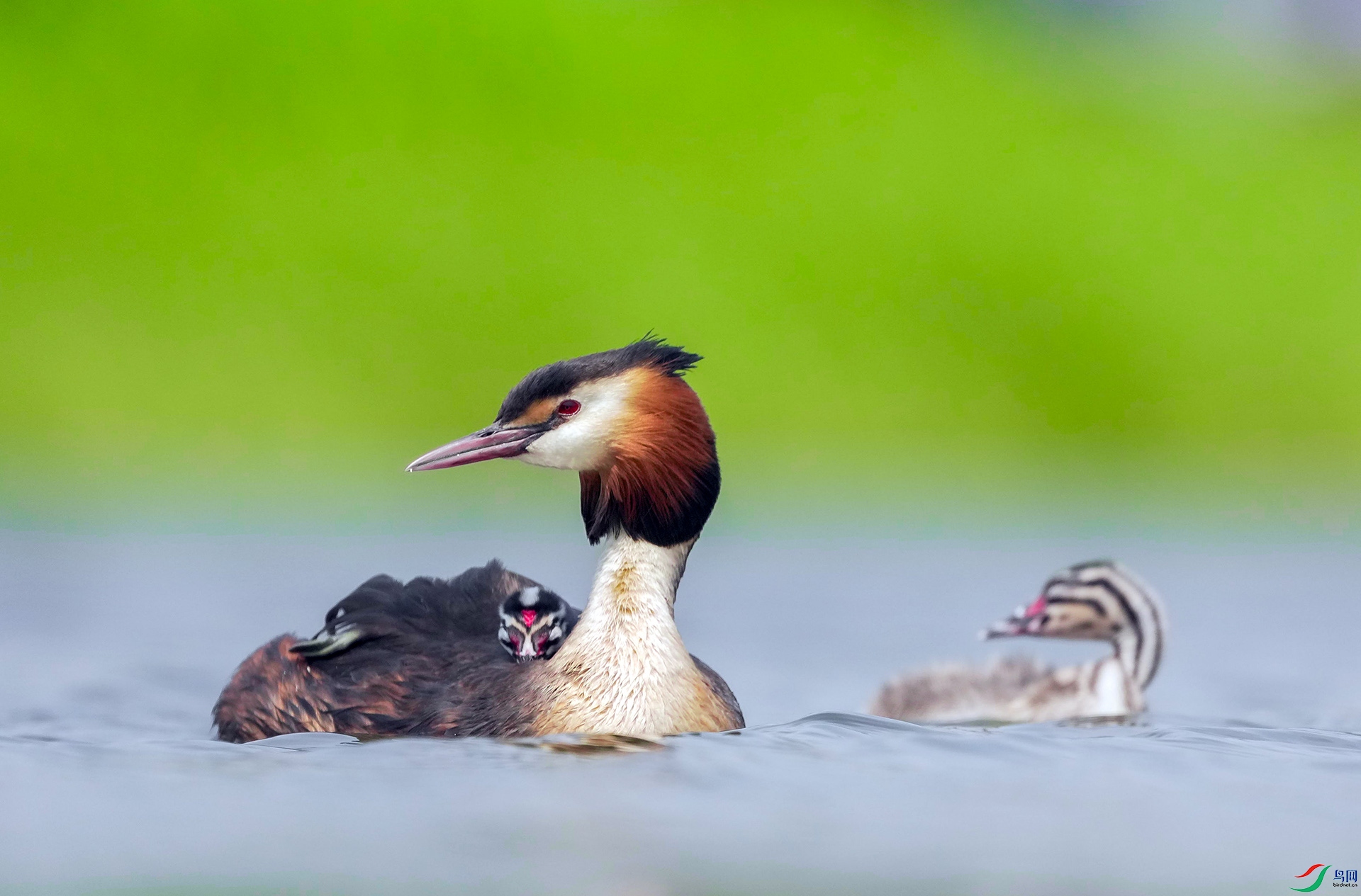 DSC04536 ����.jpg