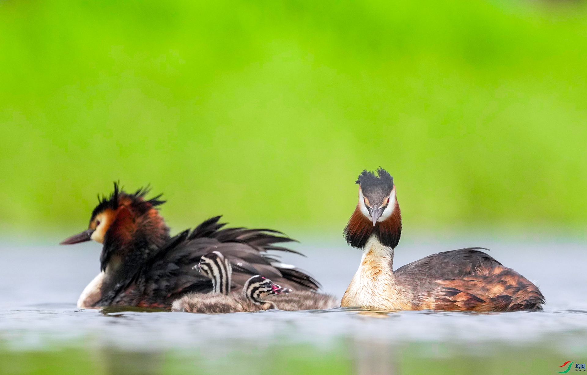 DSC04280 ����.jpg