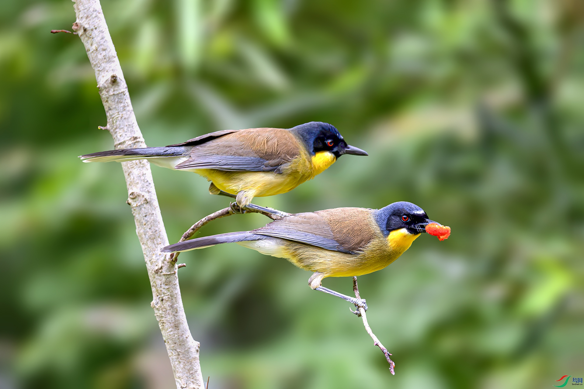 060A4489----22  .jpg