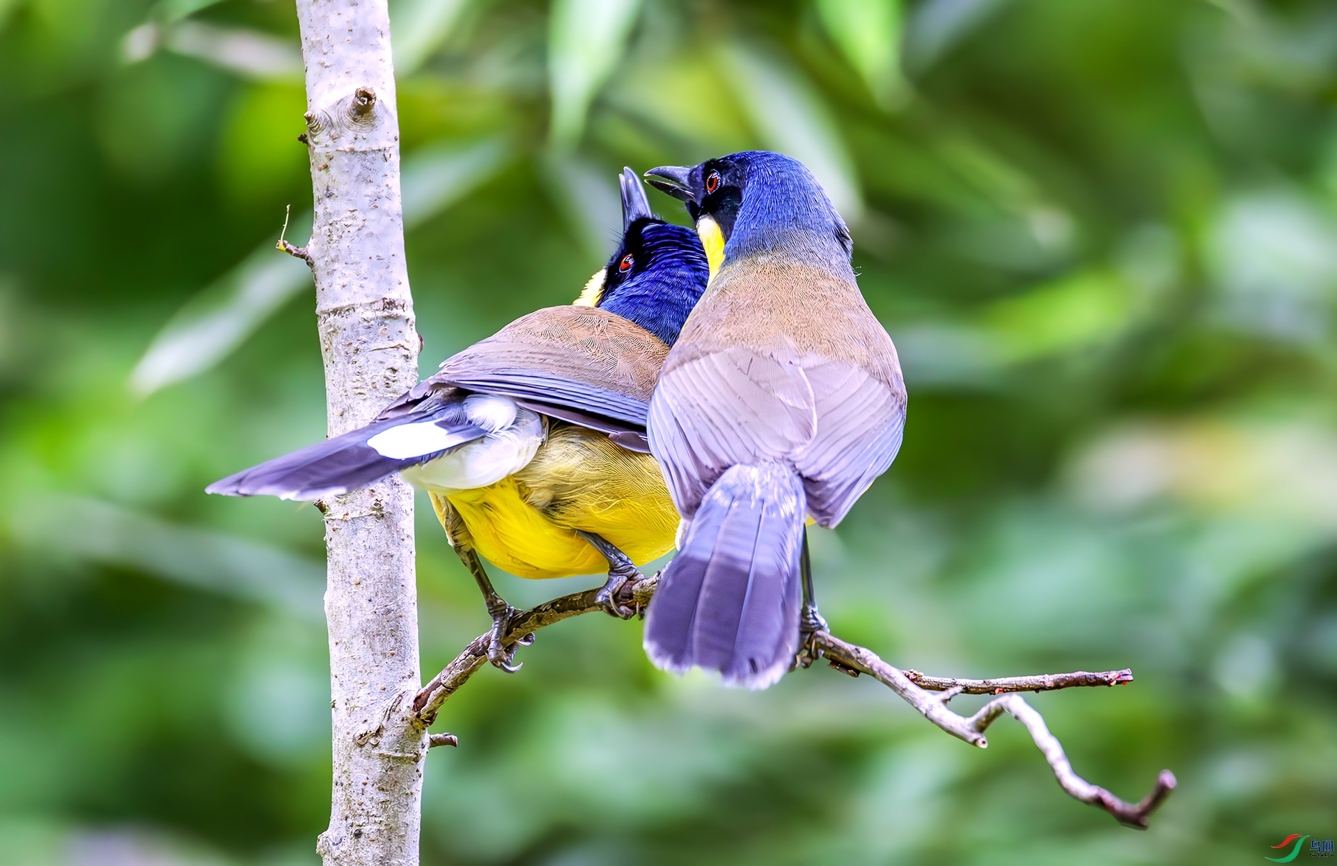 060A7975------22  .jpg