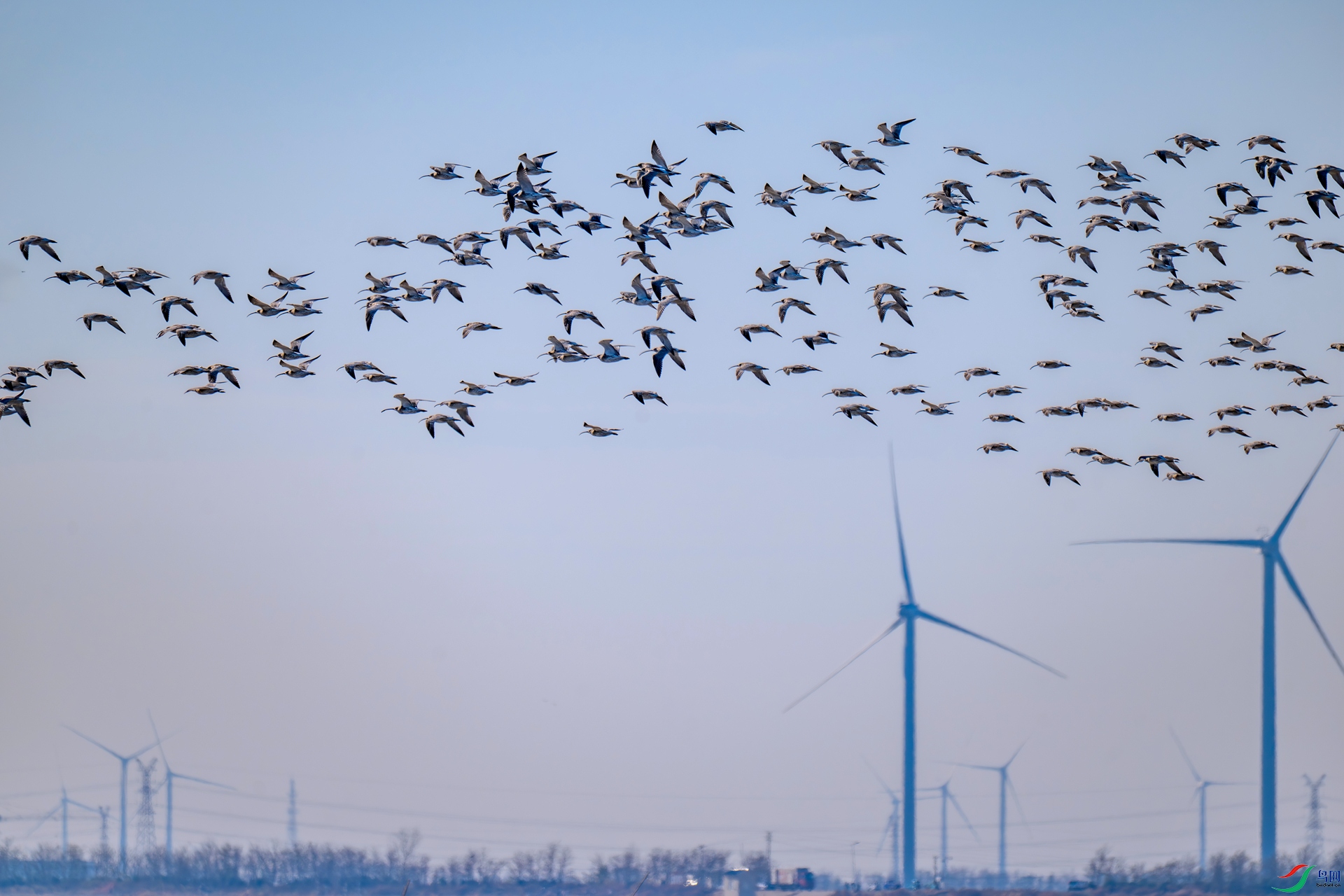 DSC_0655 ����_����.jpg