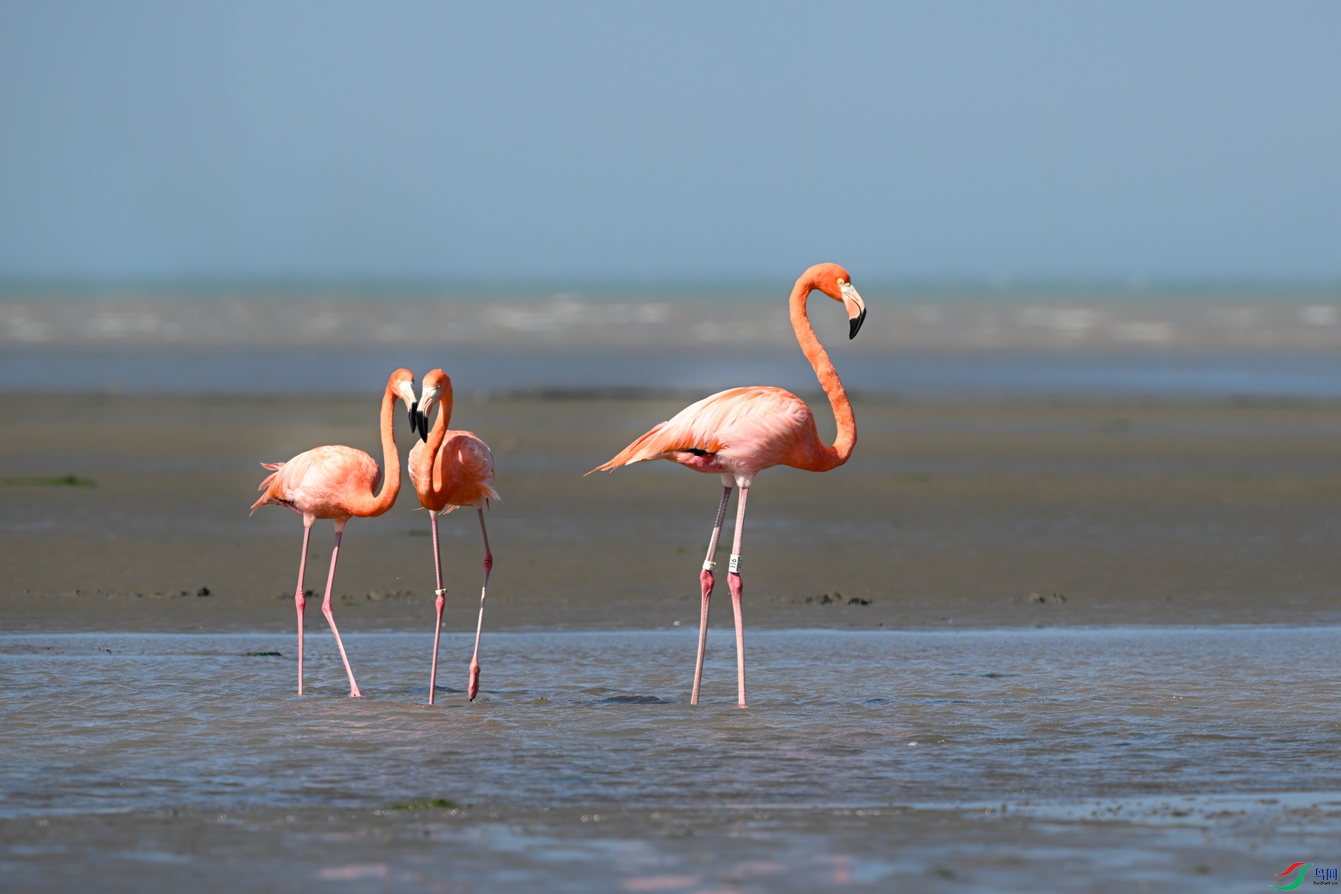 DSC_5374sen2025-2-1-10-�༭ - ����.jpg
