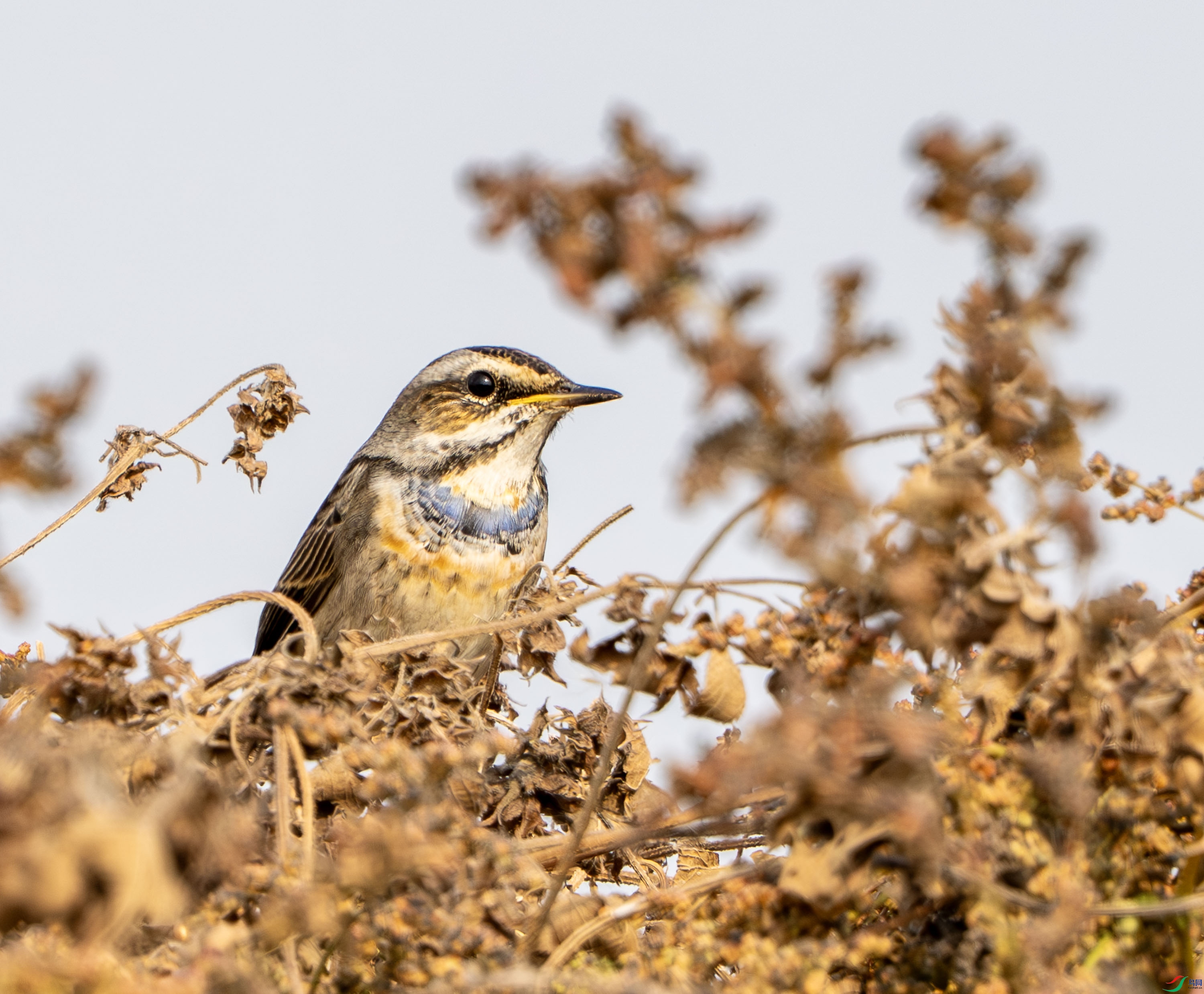 �������-8 (2).jpg