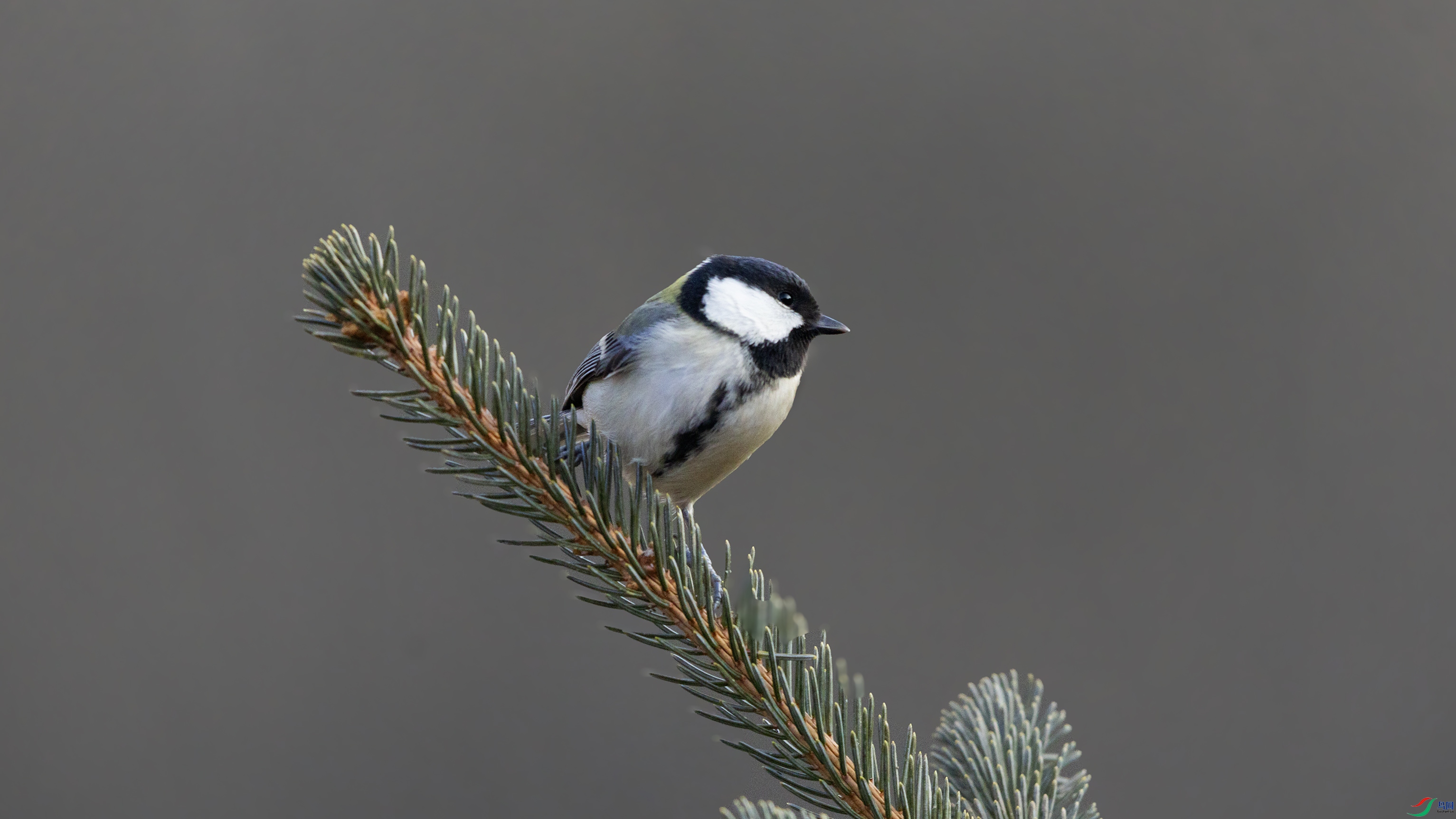 7X5A4187 ����.jpg